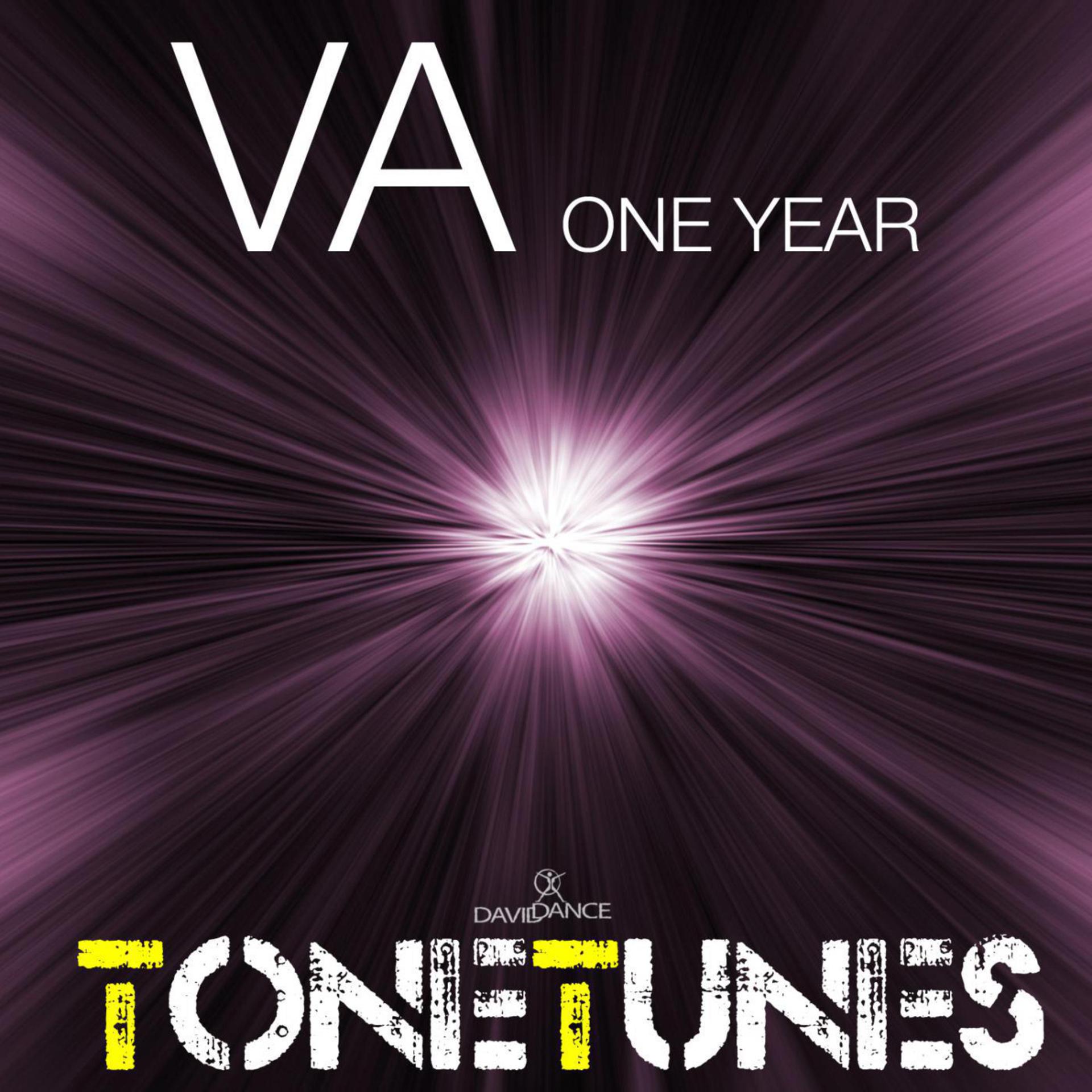 Постер альбома VA ONE YEAR
