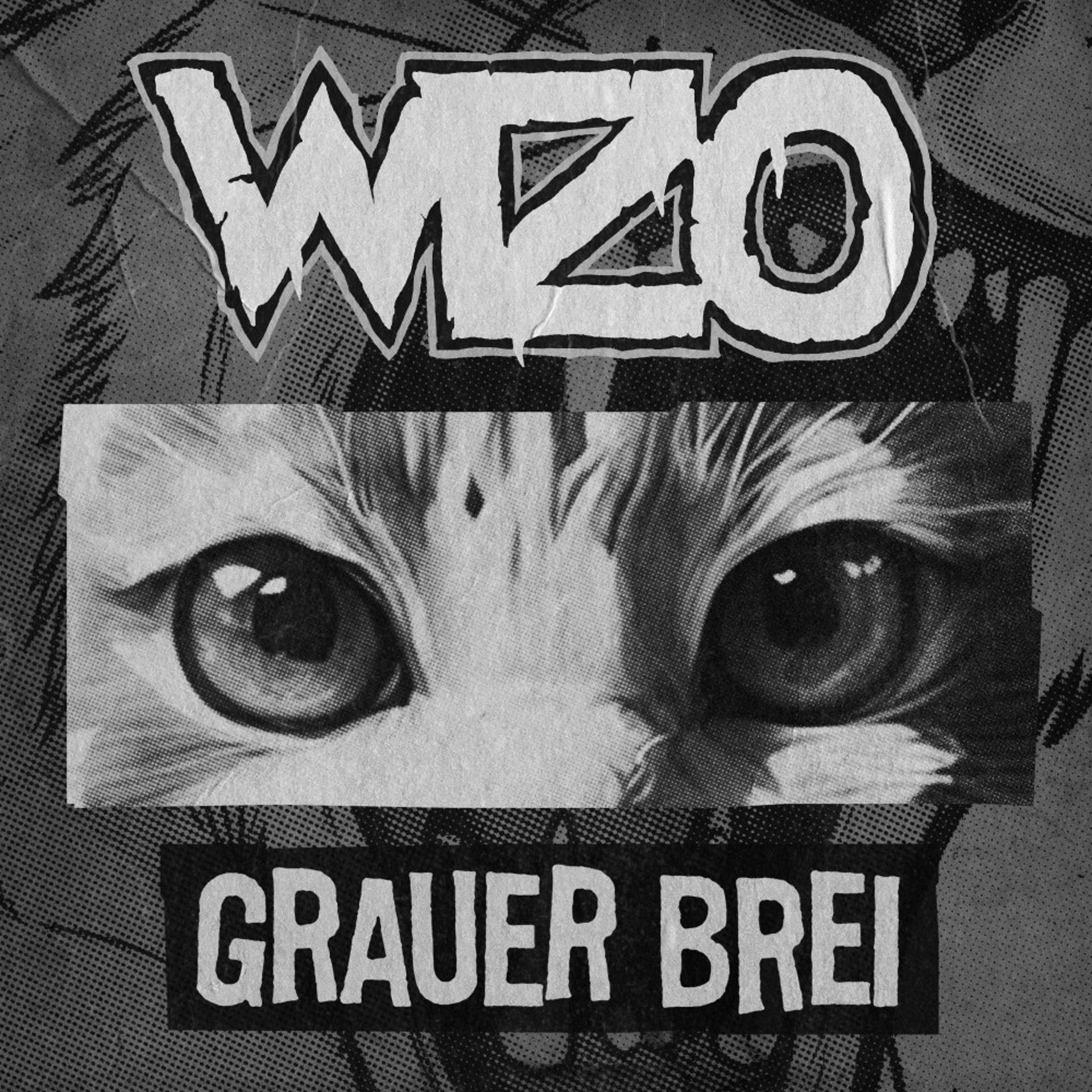 Постер альбома Grauer Brei