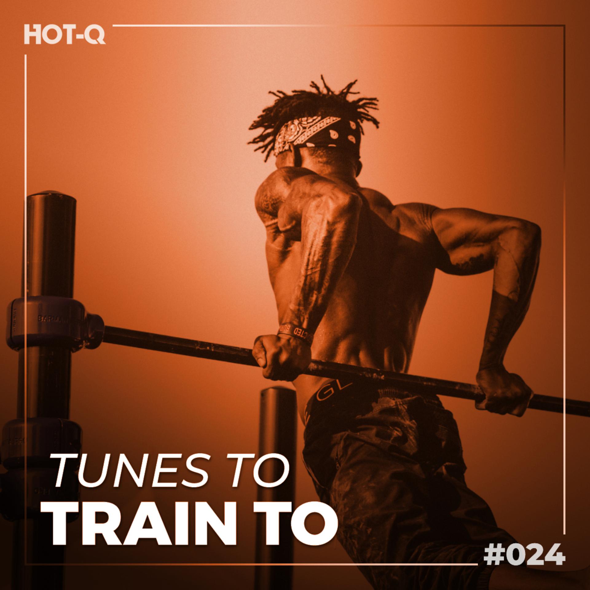 Постер альбома Tunes To Train To 024