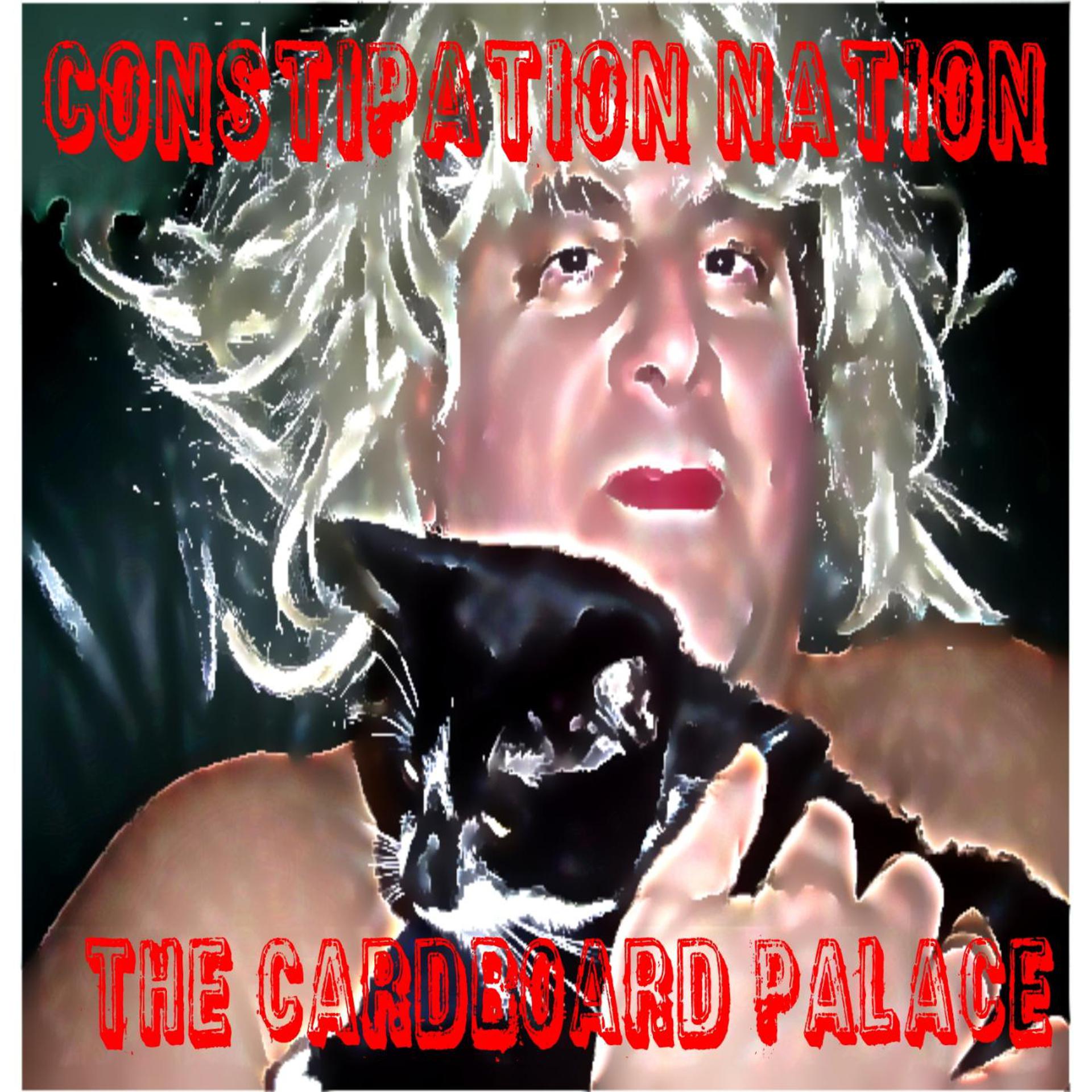 Постер альбома Constipation Nation
