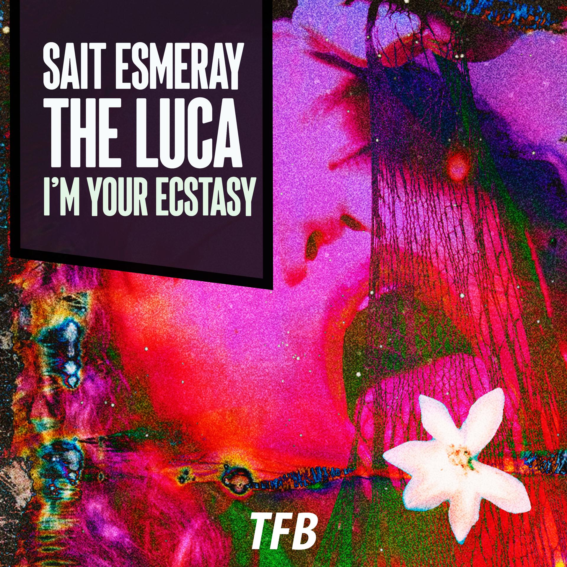 Постер альбома I'm Your Ecstasy