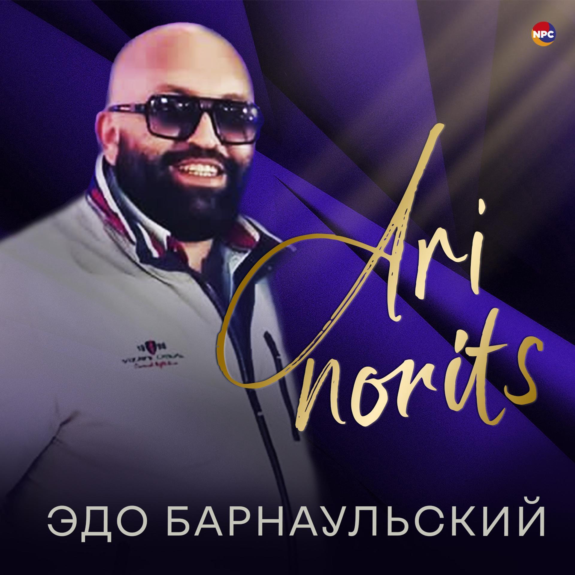 Постер альбома Ari Norits