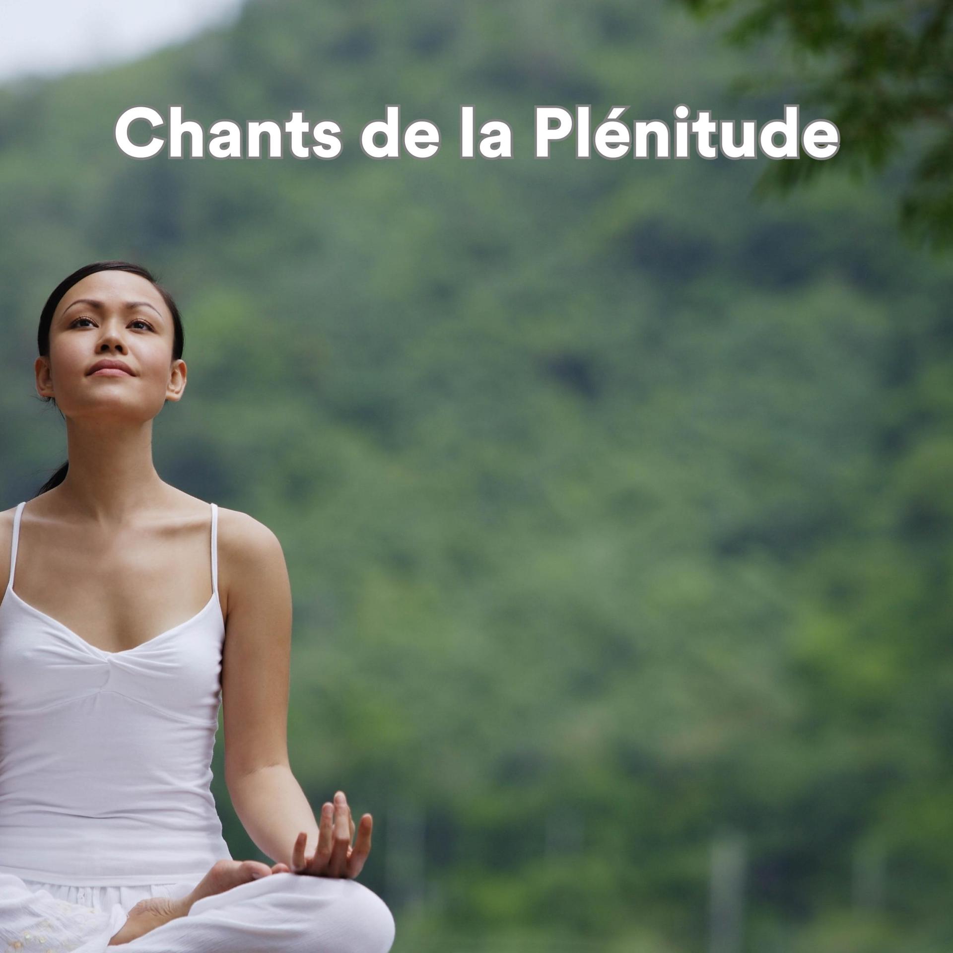 Постер альбома Chants de la plénitude