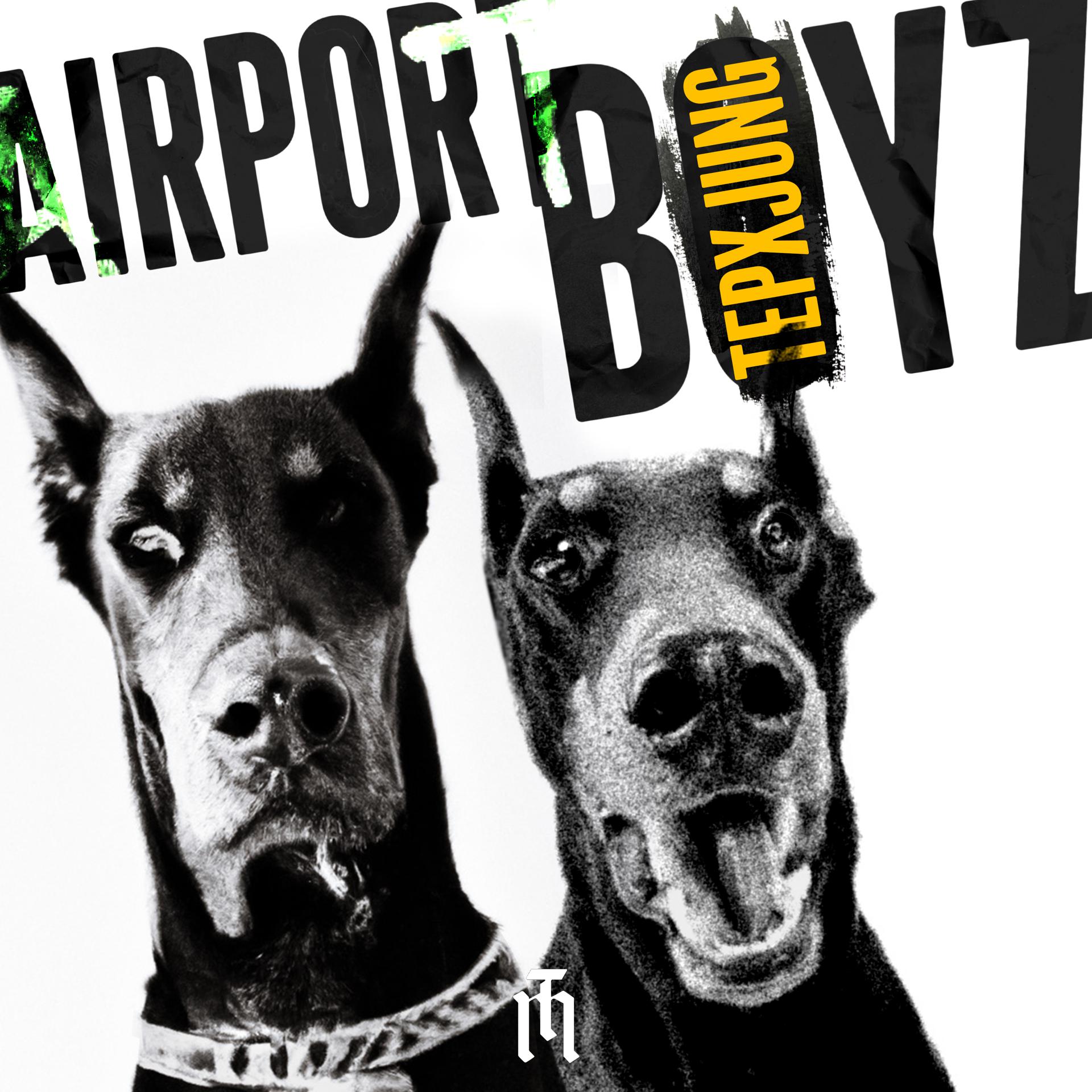 Постер альбома Airportboyz