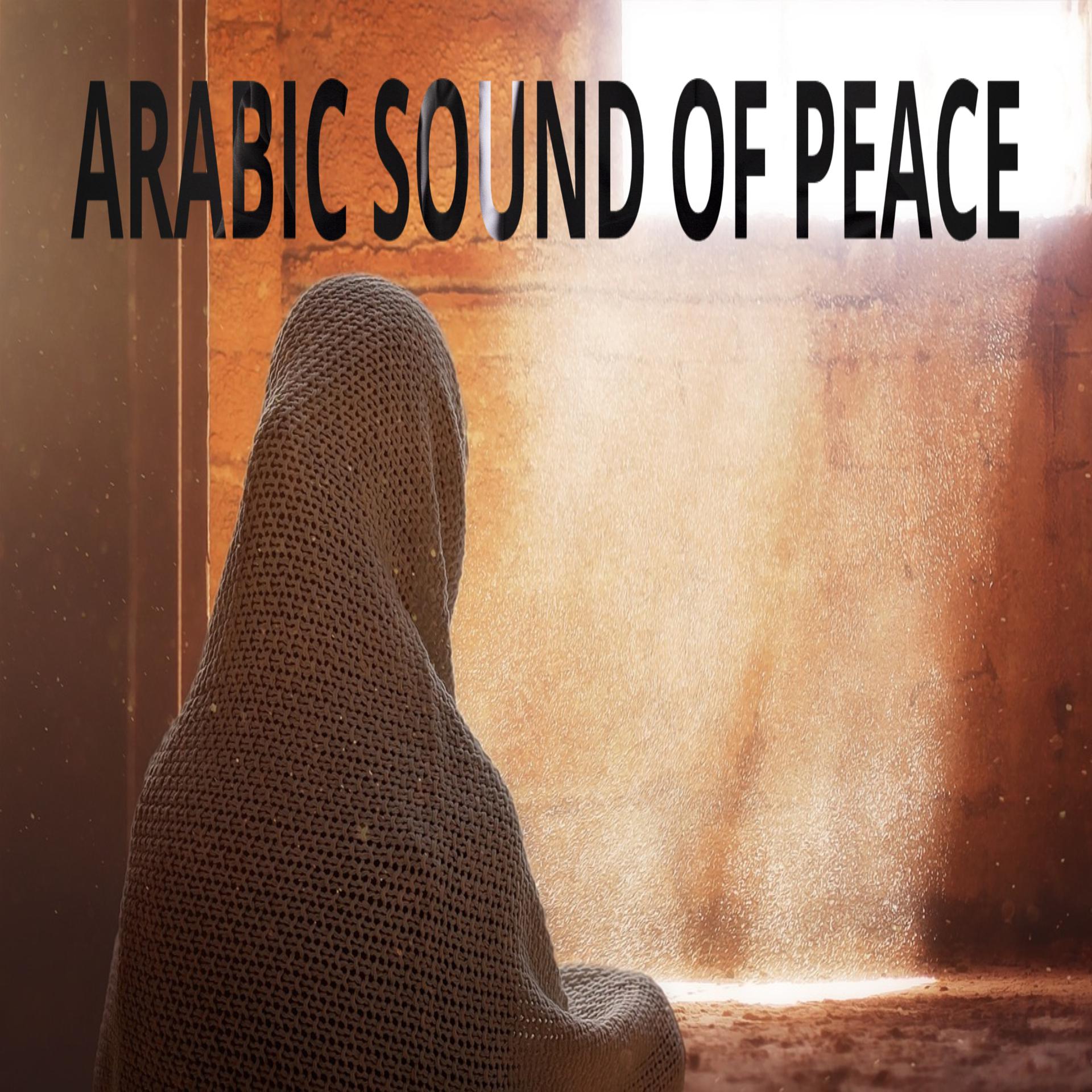 Постер альбома Arabic sound of peace