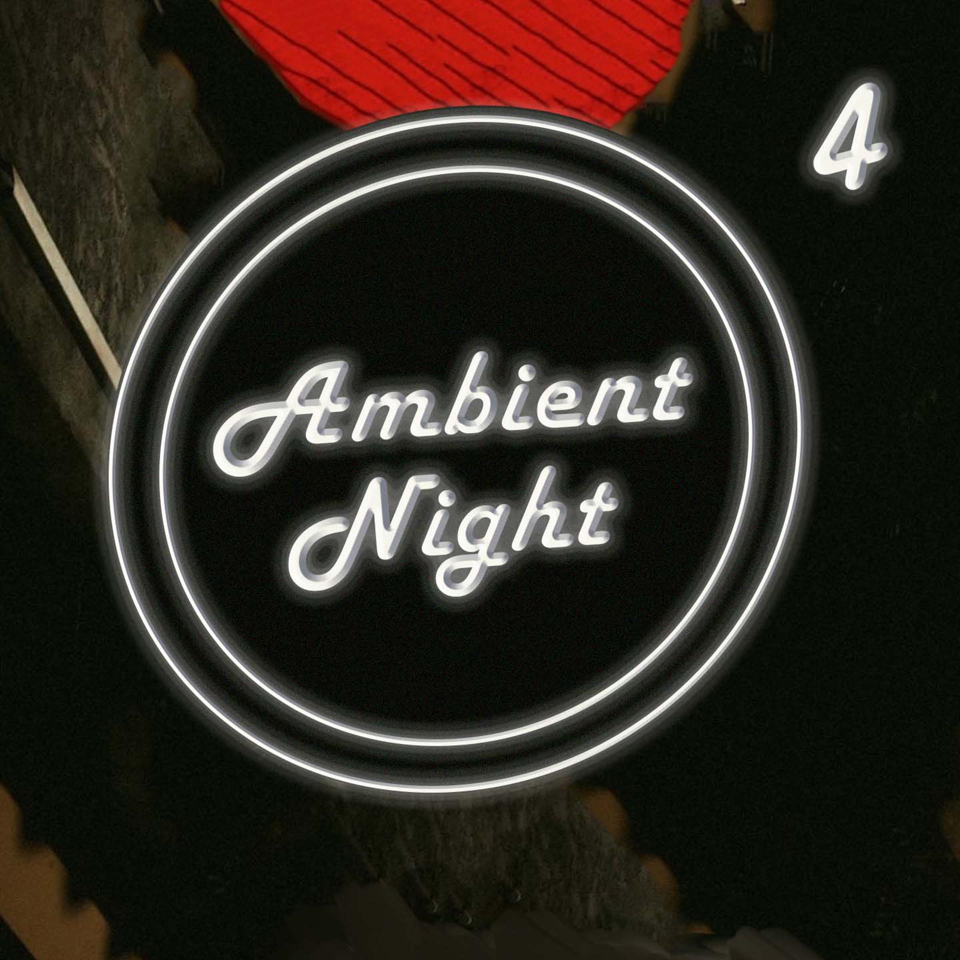 Постер альбома Ambient Nights 4
