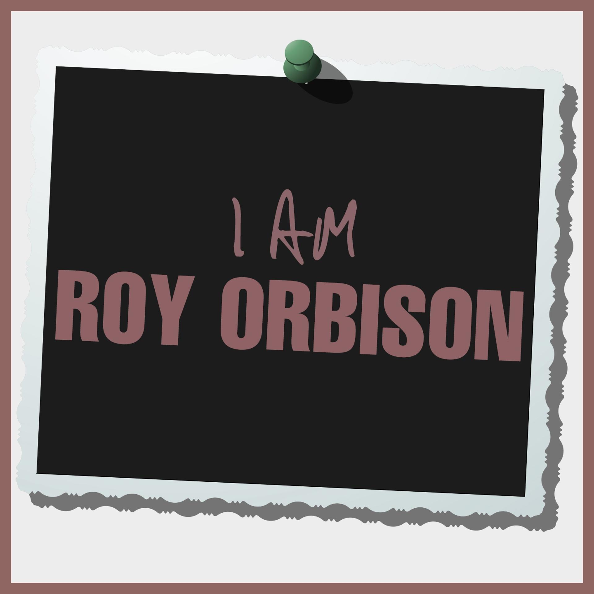 Постер альбома I Am Roy Orbison