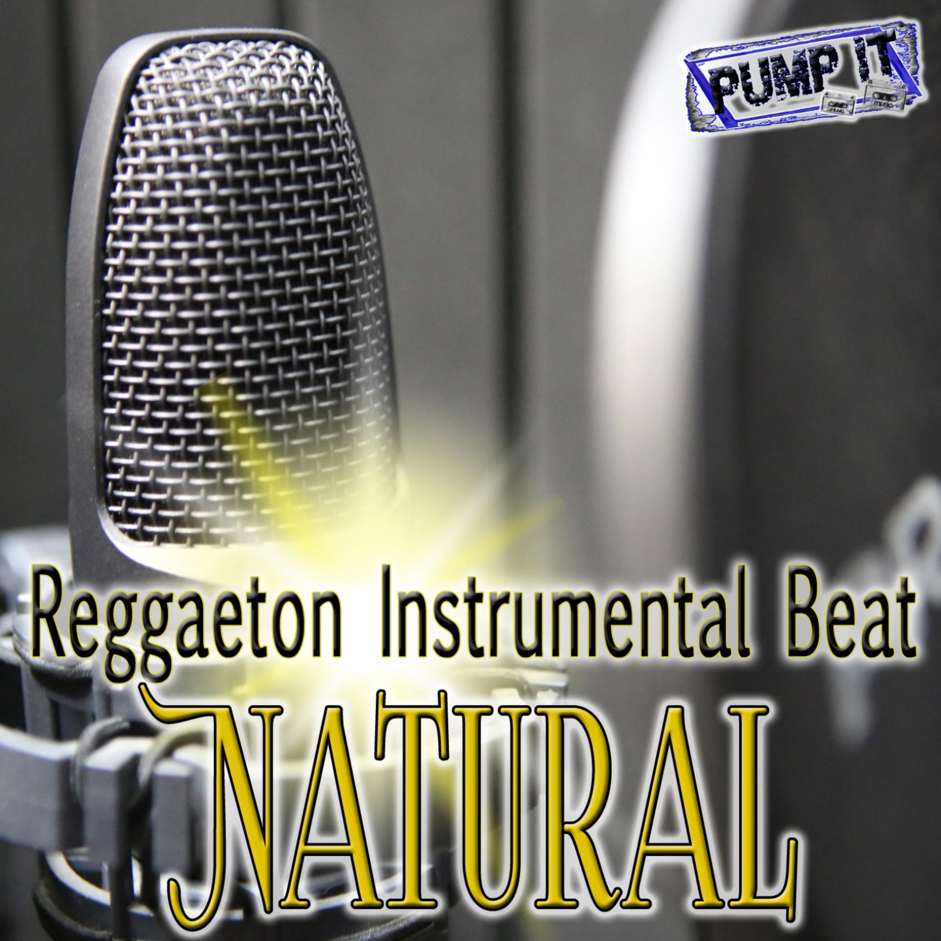Постер альбома Reggaeton Instrumental Beat: Natural