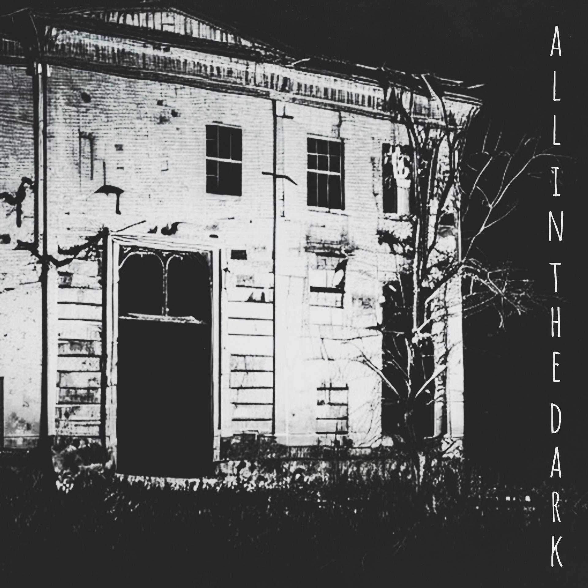 Постер альбома All in the Dark