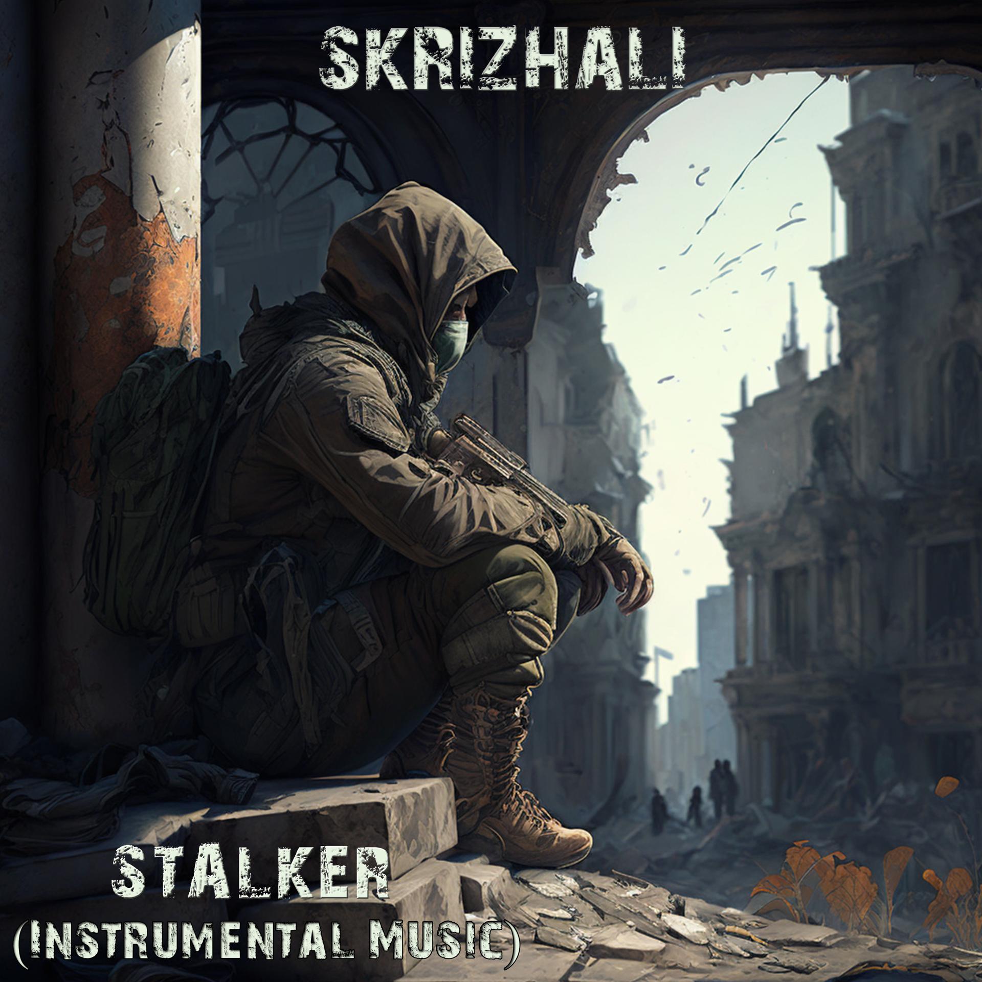 Постер альбома Stalker (Instrumental Music)