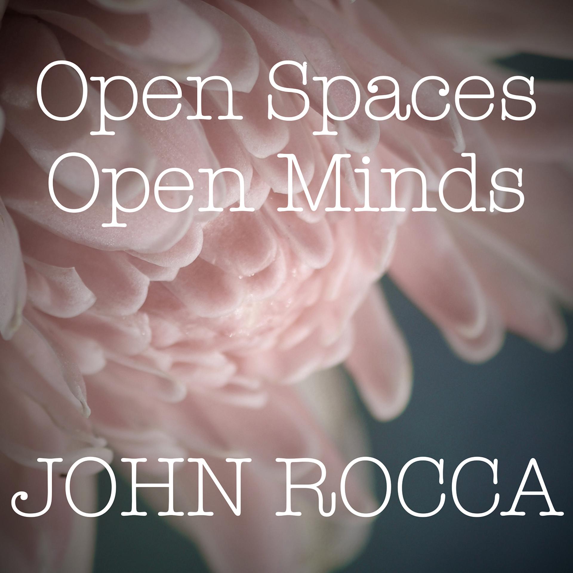 Постер альбома Open Spaces, Open Minds