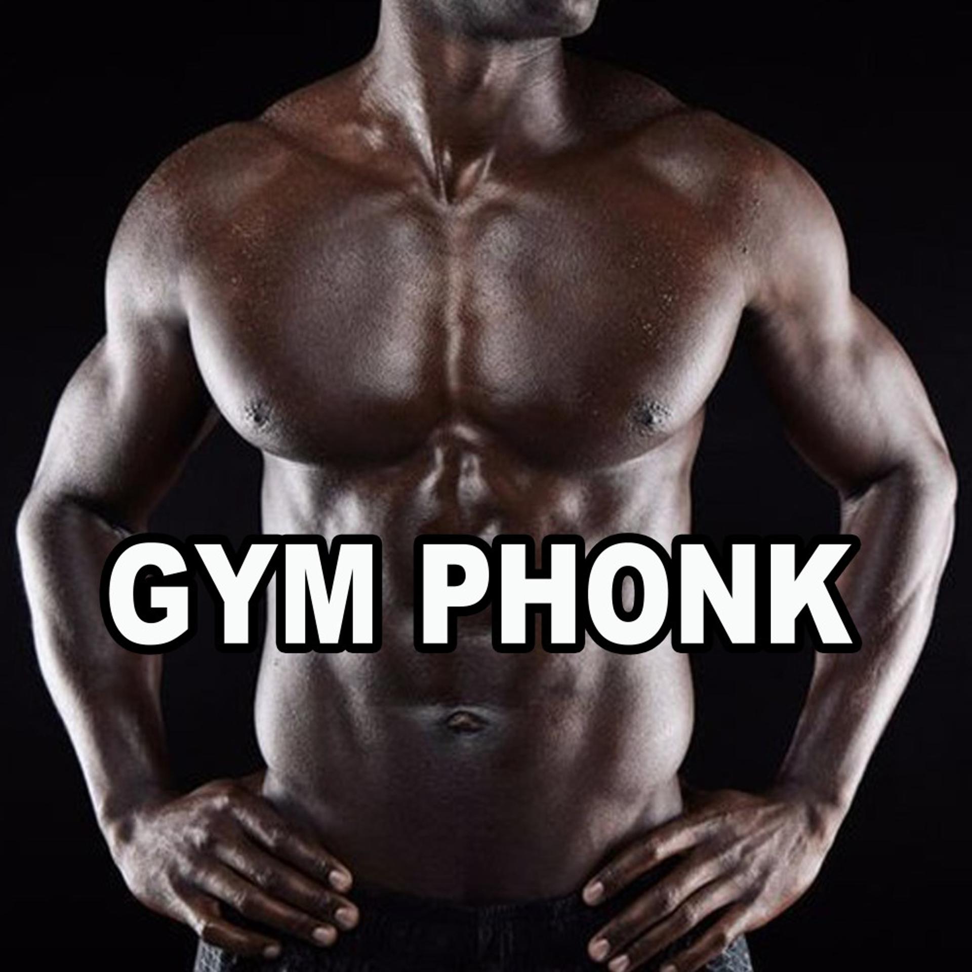 Постер альбома Gym Phonk Workout Mix (The Best Top Lifting Gym Phonk Music to Power Your Inner Demons)