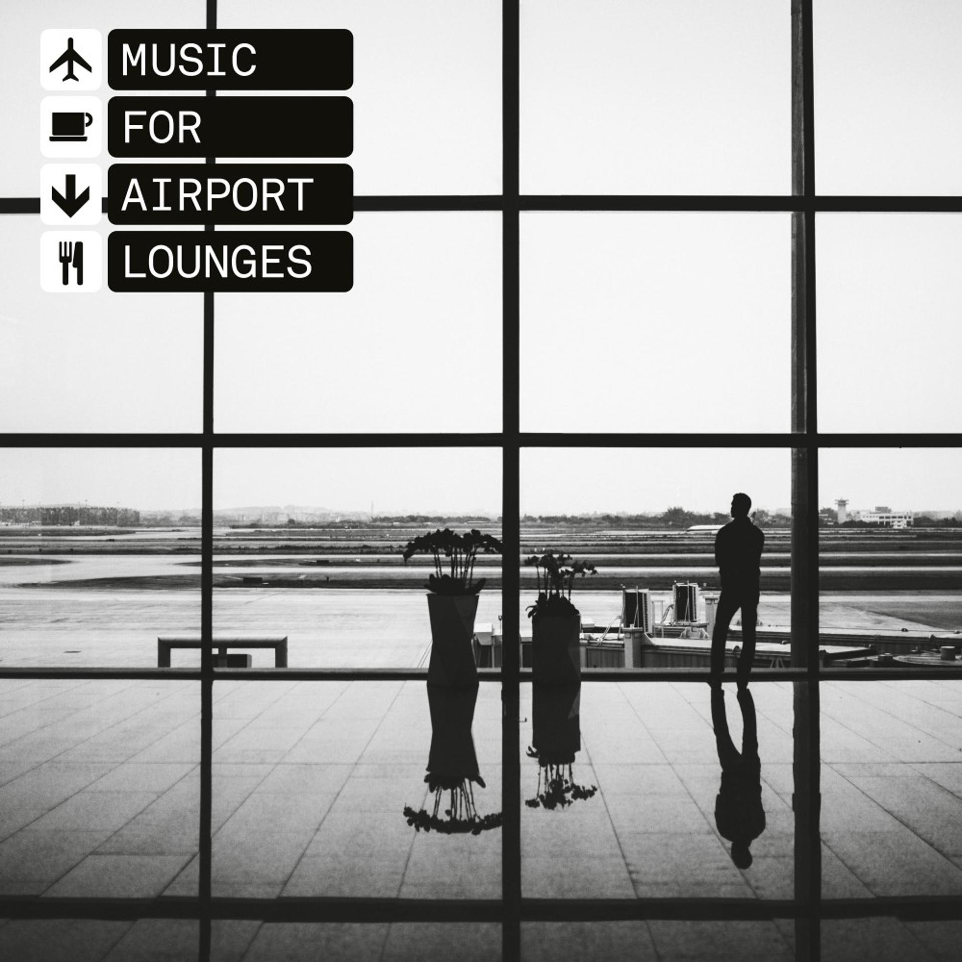 Постер альбома Music for Airport Lounges