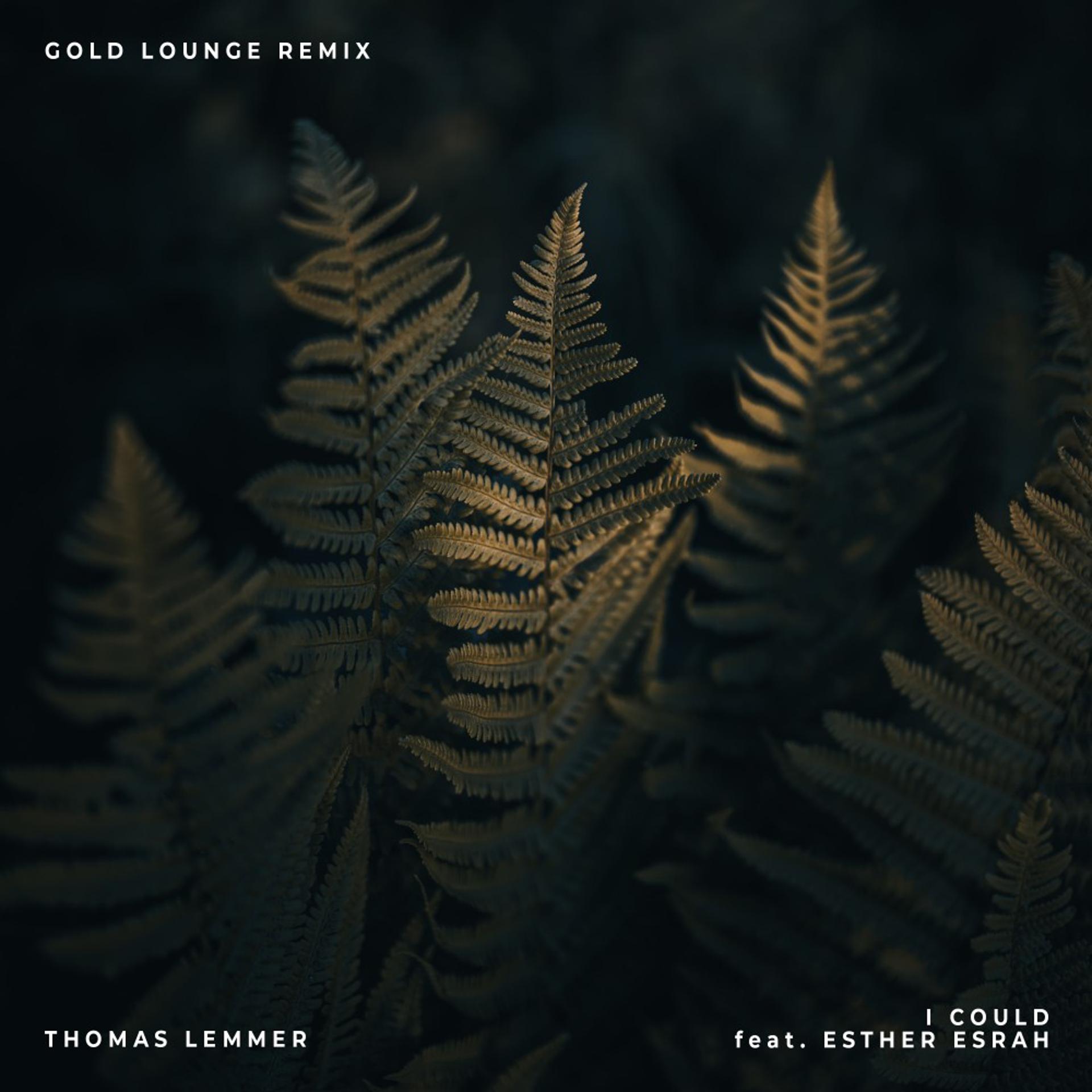 Постер альбома I Could (Gold Lounge Remix)
