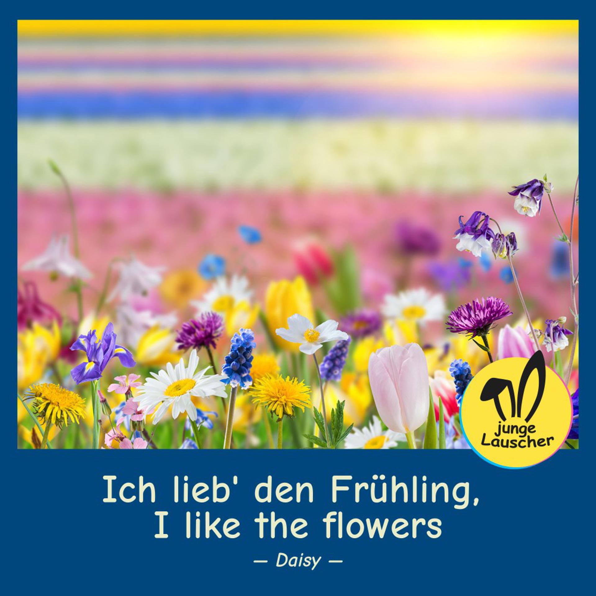 Постер альбома Ich lieb' den Frühling, I like the flowers