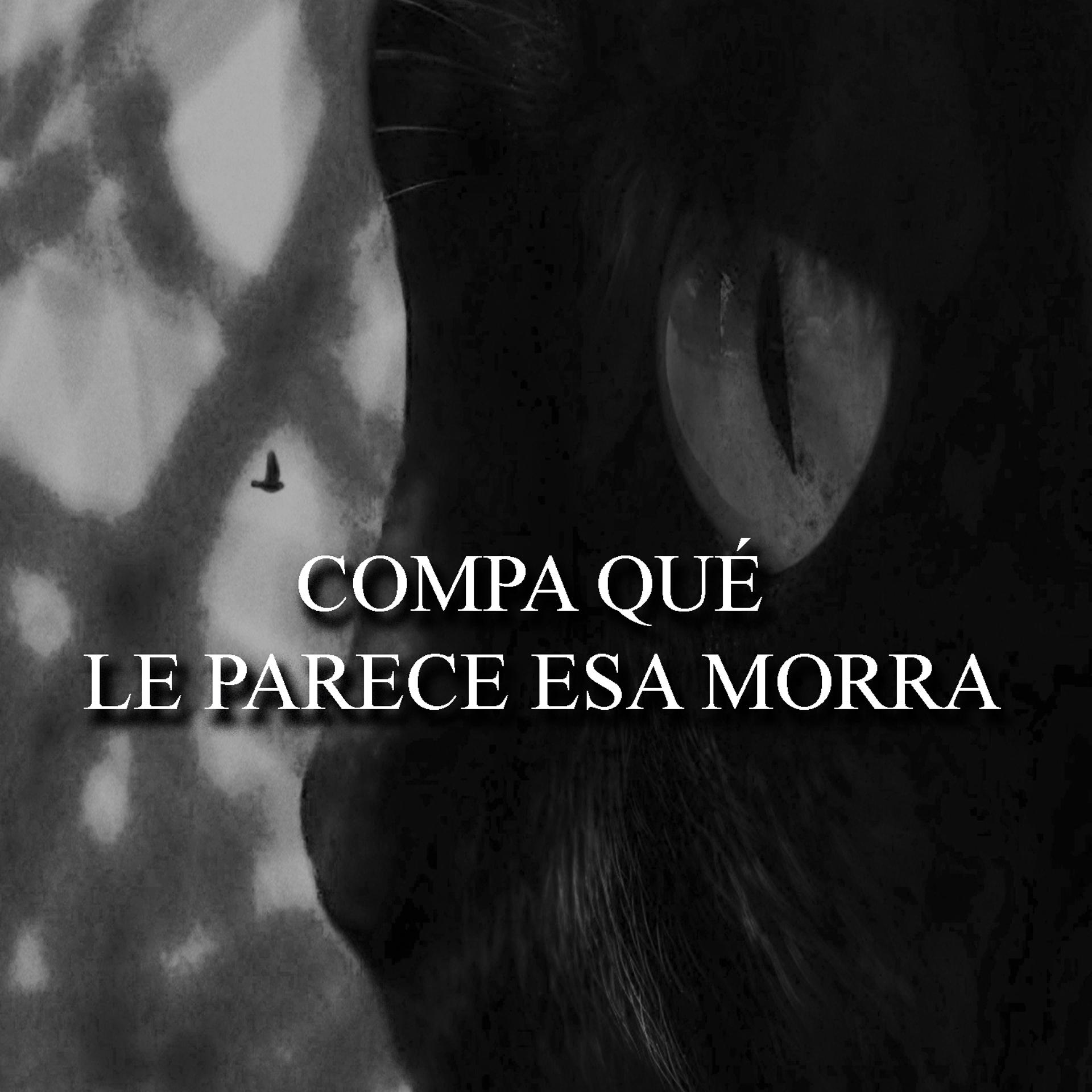 Постер альбома Compa Qué Le Parece Esa Morra