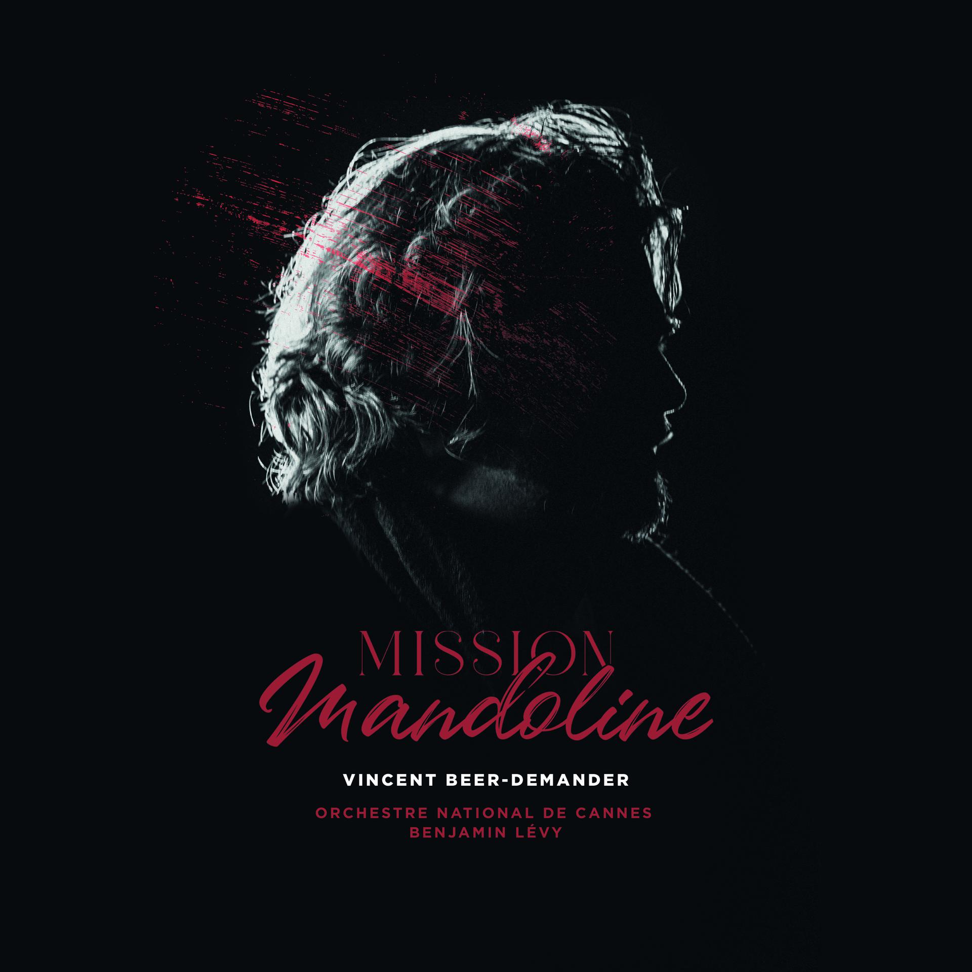 Постер альбома Mission mandoline