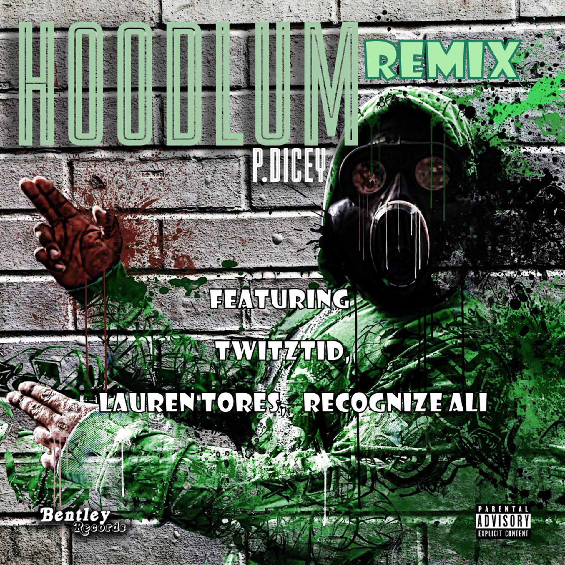 Постер альбома Hoodlum Remix