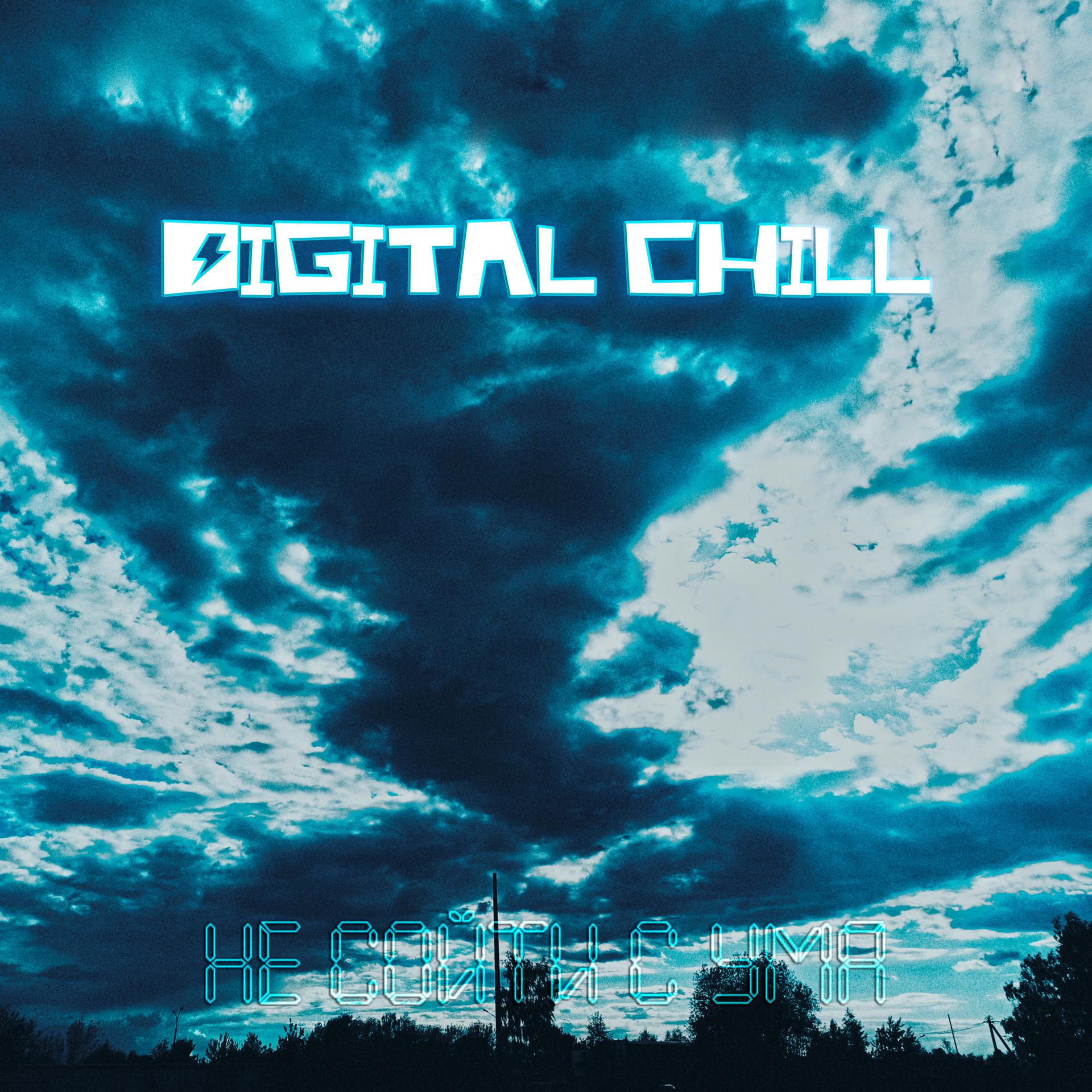 Постер альбома Digital Chill