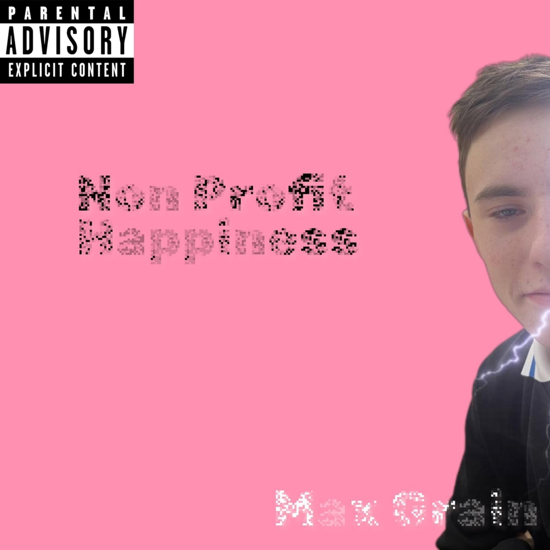 Постер альбома Non Profit Happiness