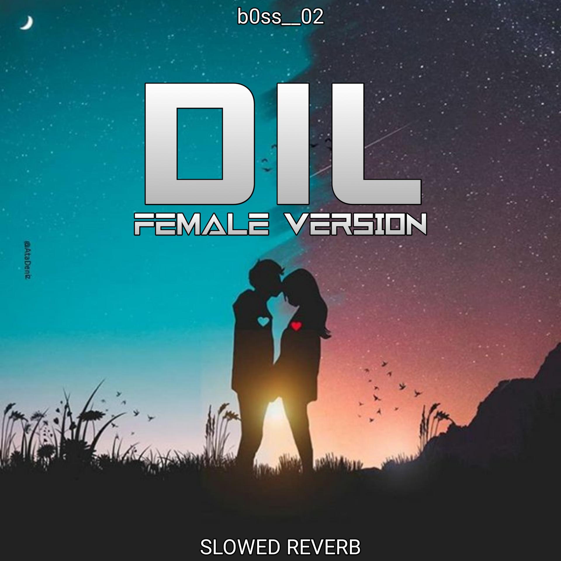 Постер альбома Dil Female Version