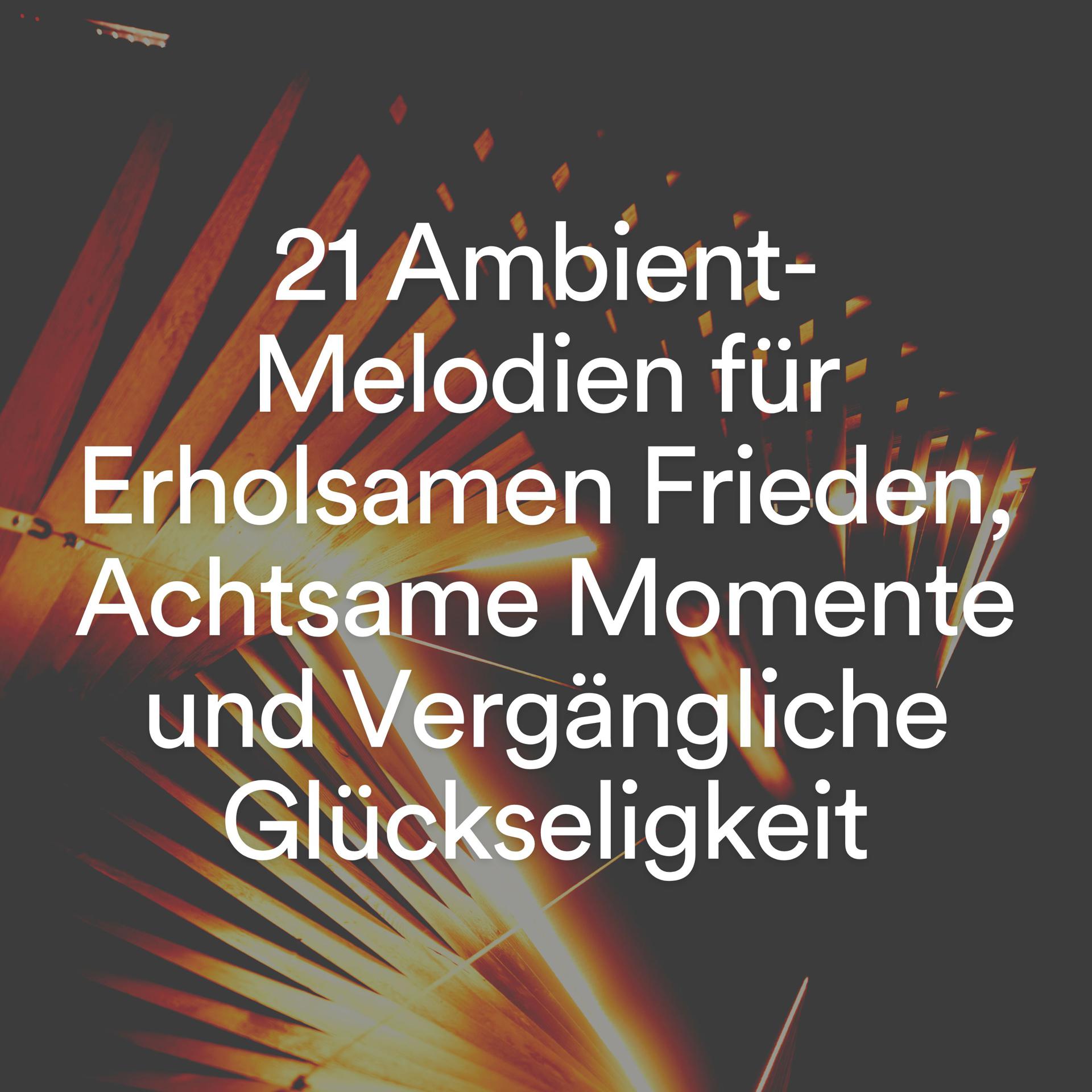 Постер альбома 21 Ambient-Melodien für Erholsamen Frieden, Achtsame Momente und Vergängliche Glückseligkeit