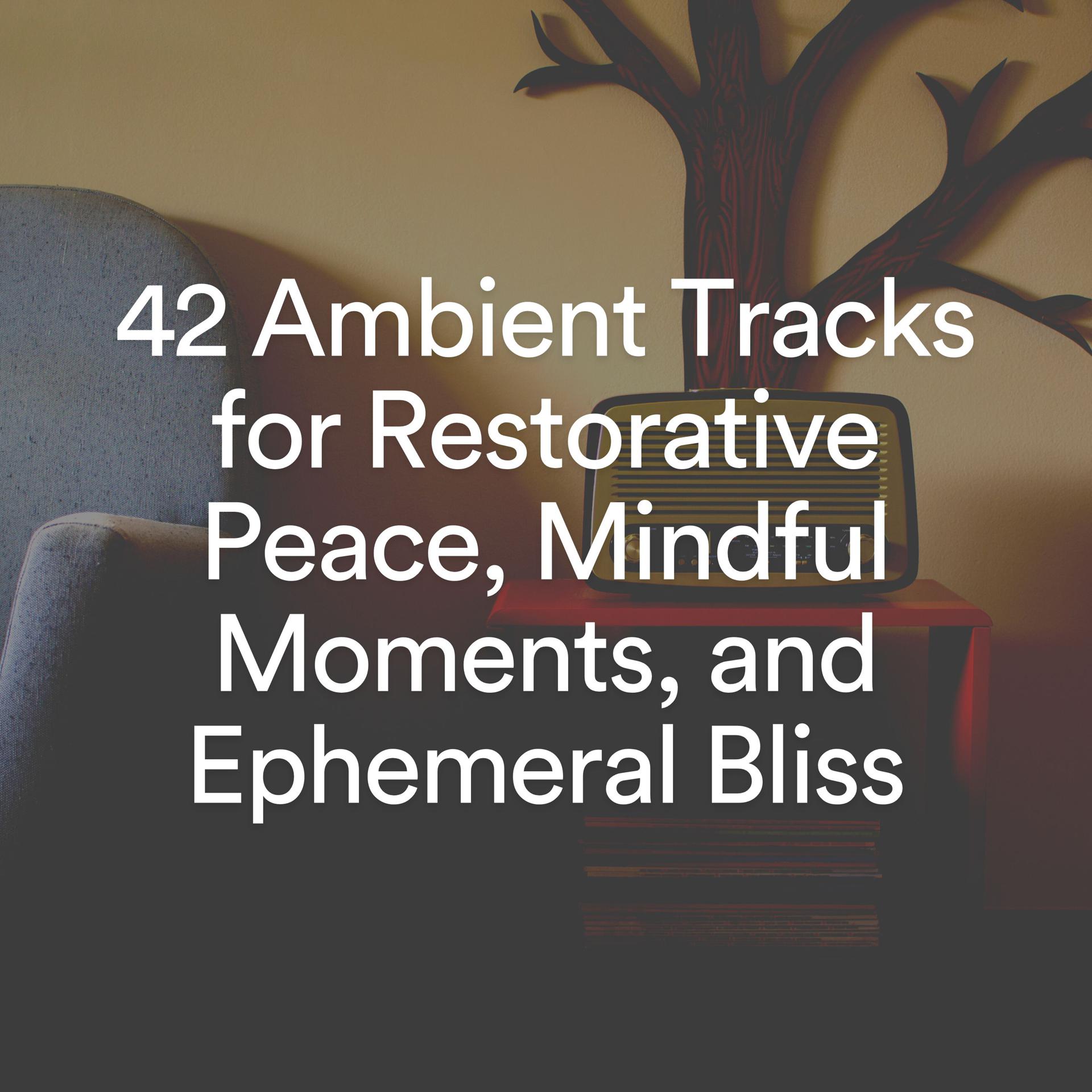 Постер альбома 42 Ambient Tracks for Restorative Peace, Mindful Moments, and hemeral Bliss - EP
