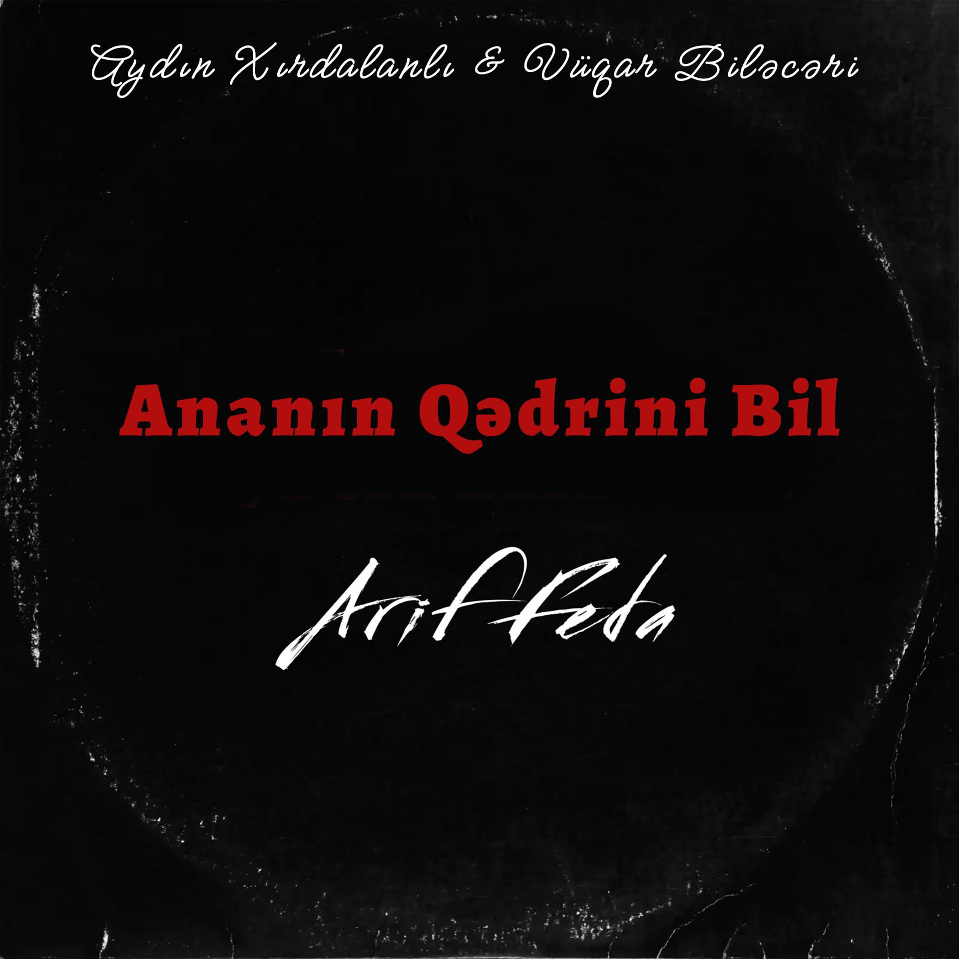 Постер альбома Ananın Qədrini Bil