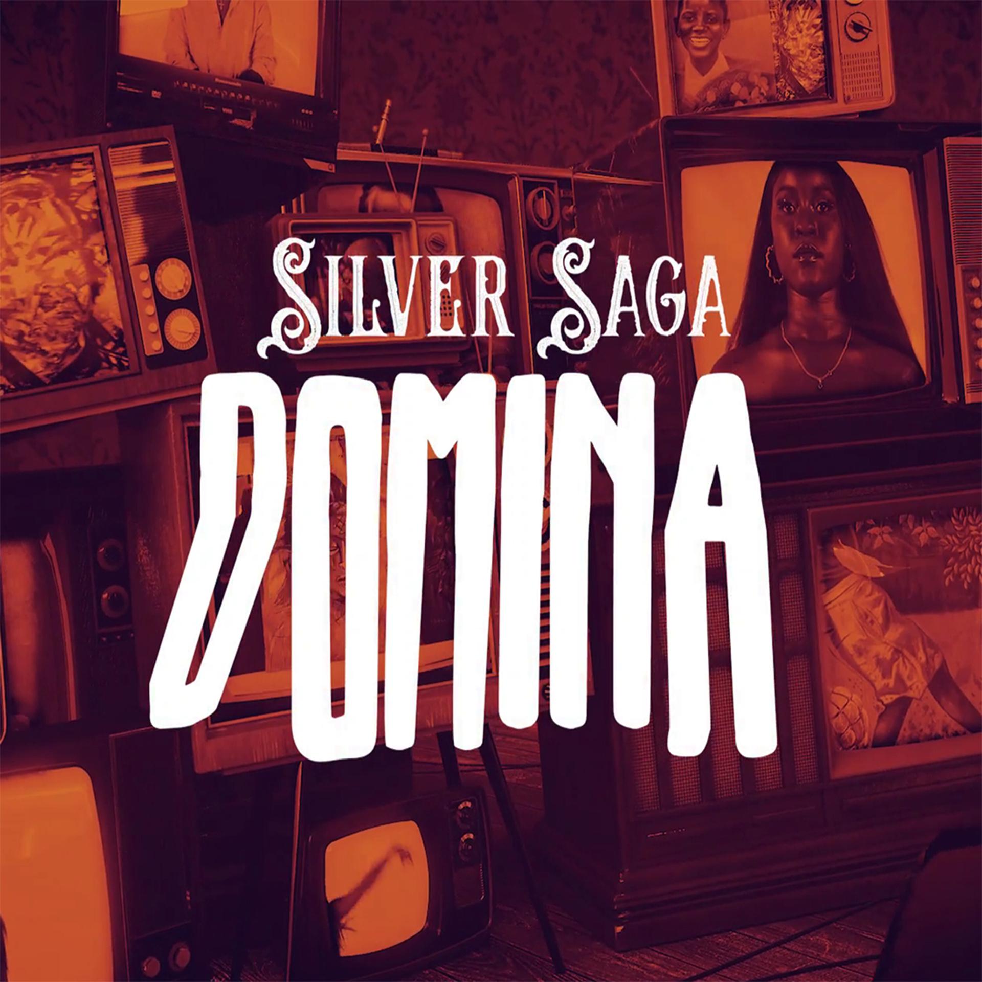 Постер альбома Domina