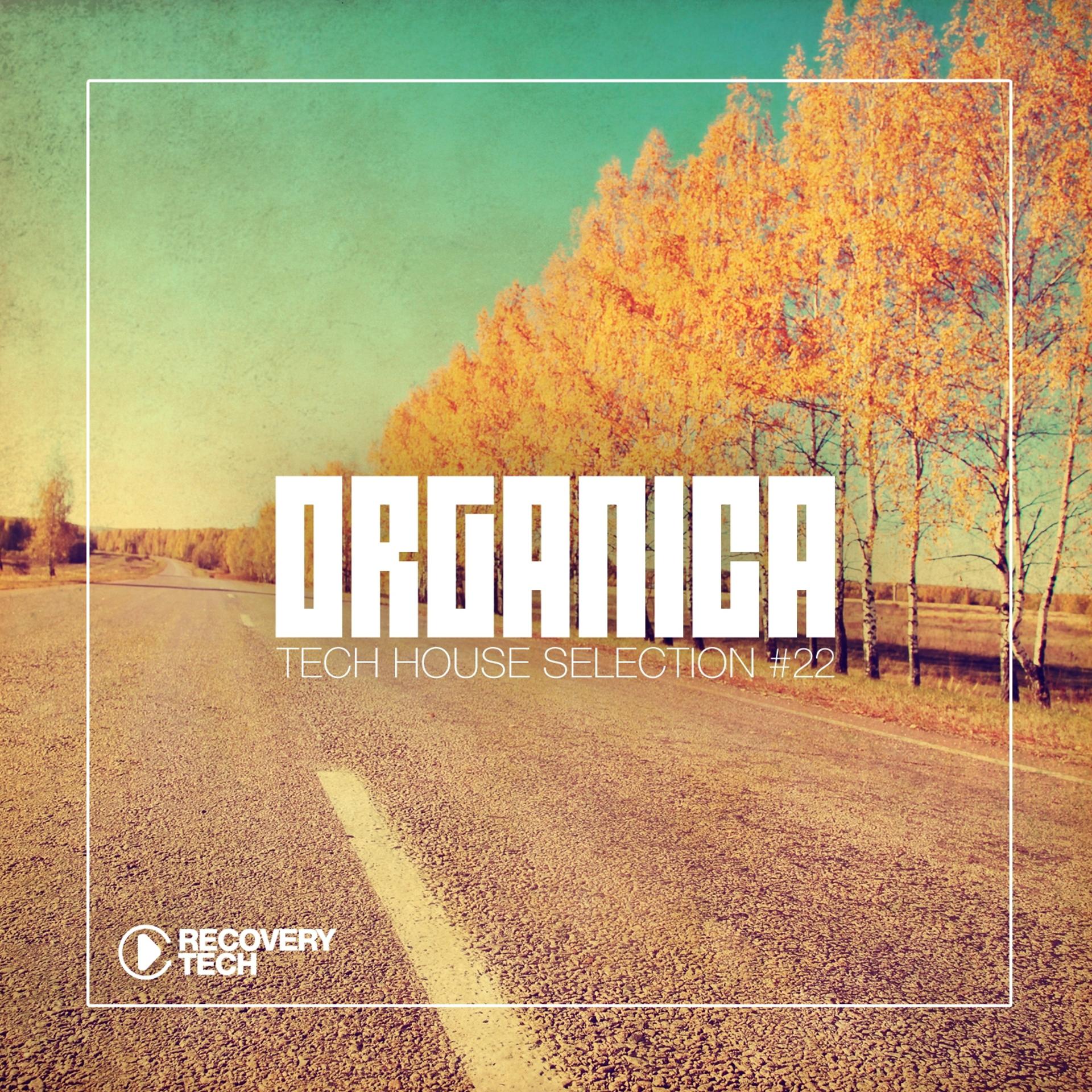 Постер альбома Organica #22