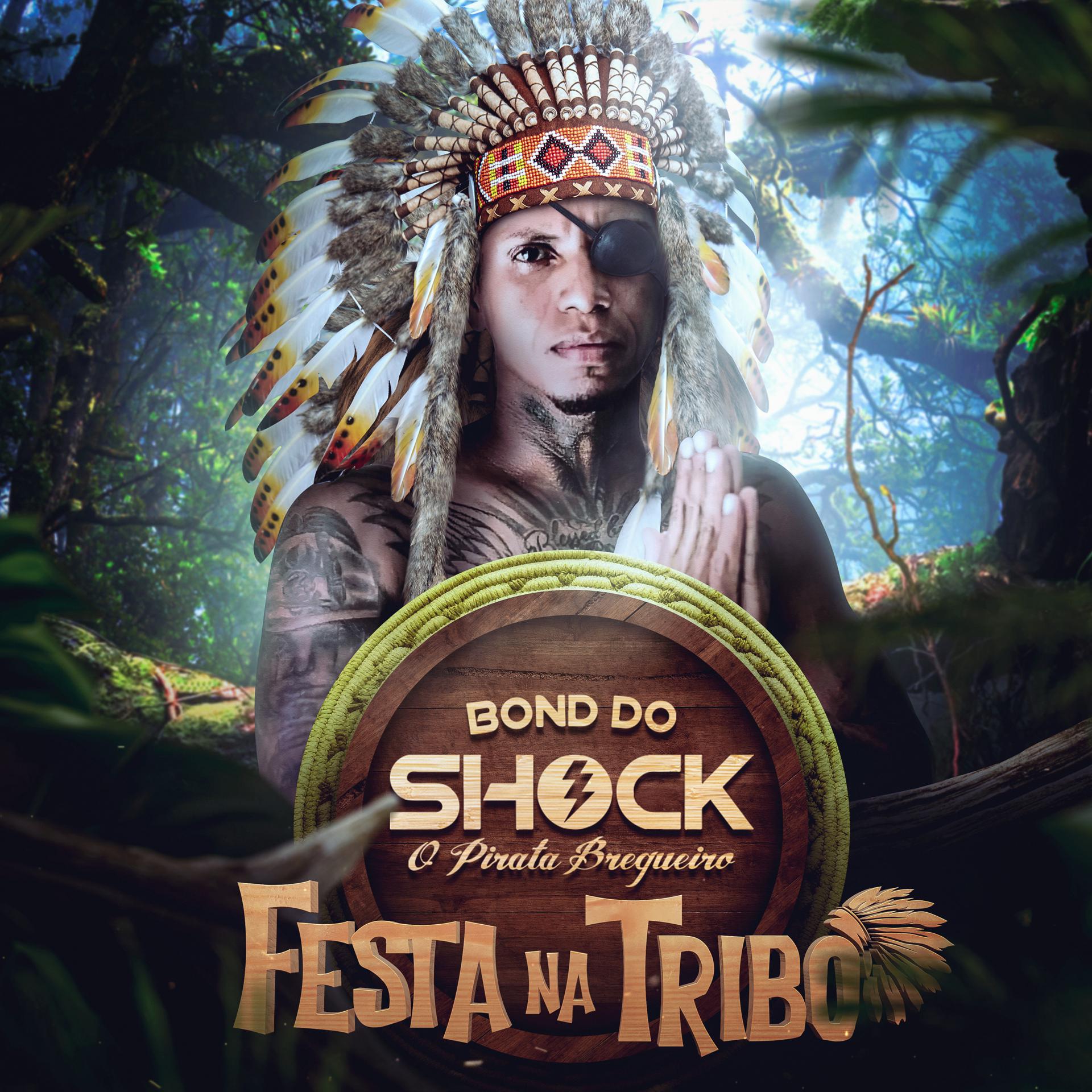 Постер альбома Festa na Tribo