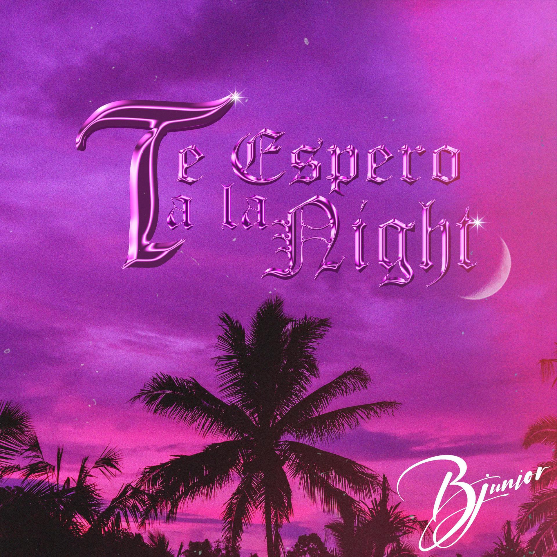 Постер альбома Te Espero a la Night