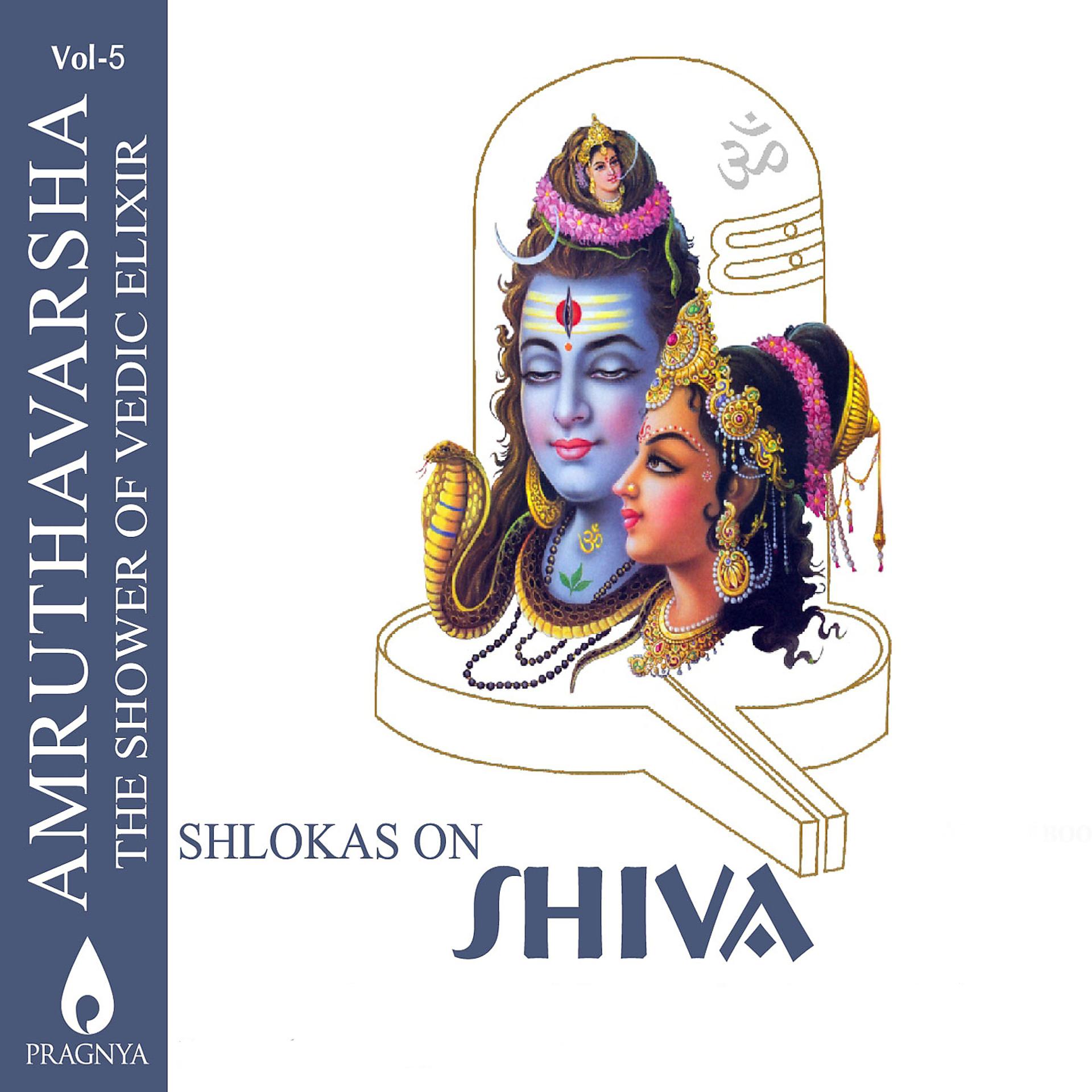 Постер альбома Amruthavarsha, Vol. 5