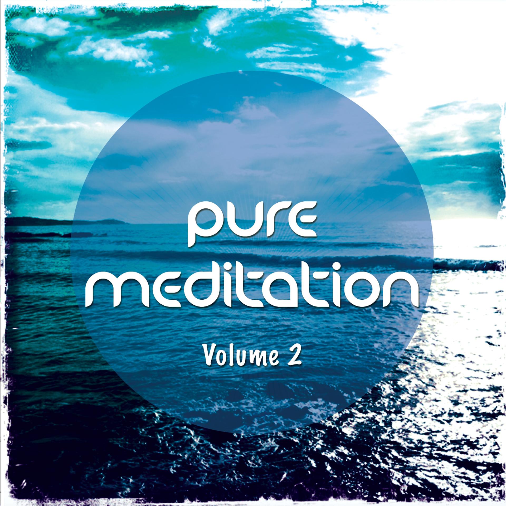 Постер альбома Pure Meditation, Vol. 2