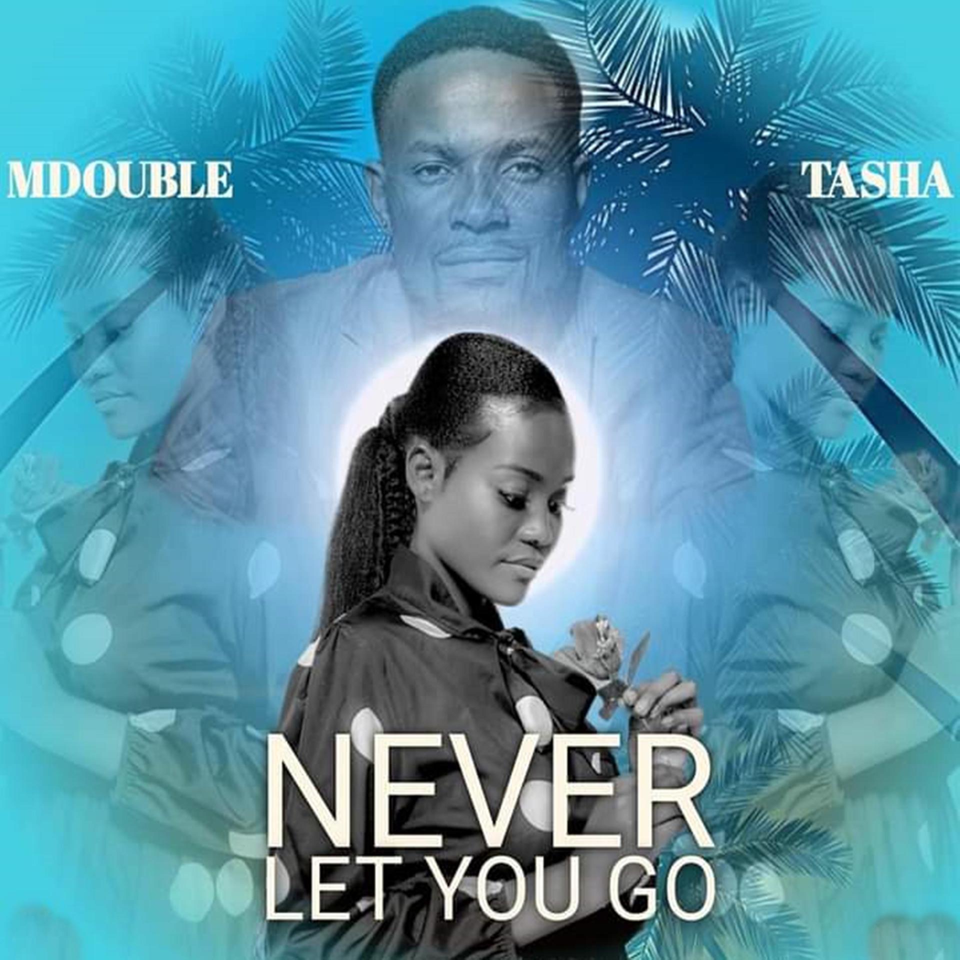 Постер альбома NEVER LET YOU GO (feat. TASHA)