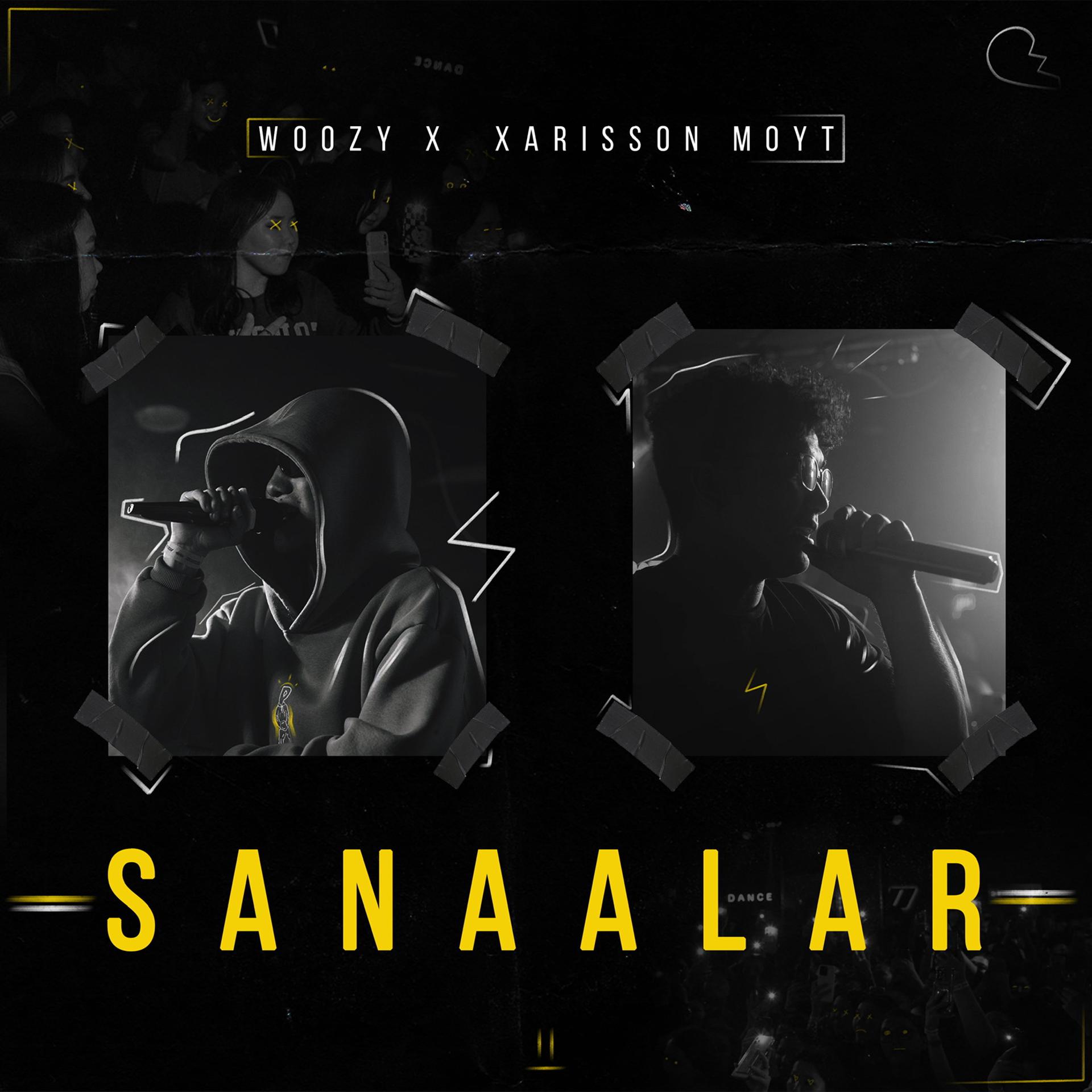Постер альбома Sanaalar