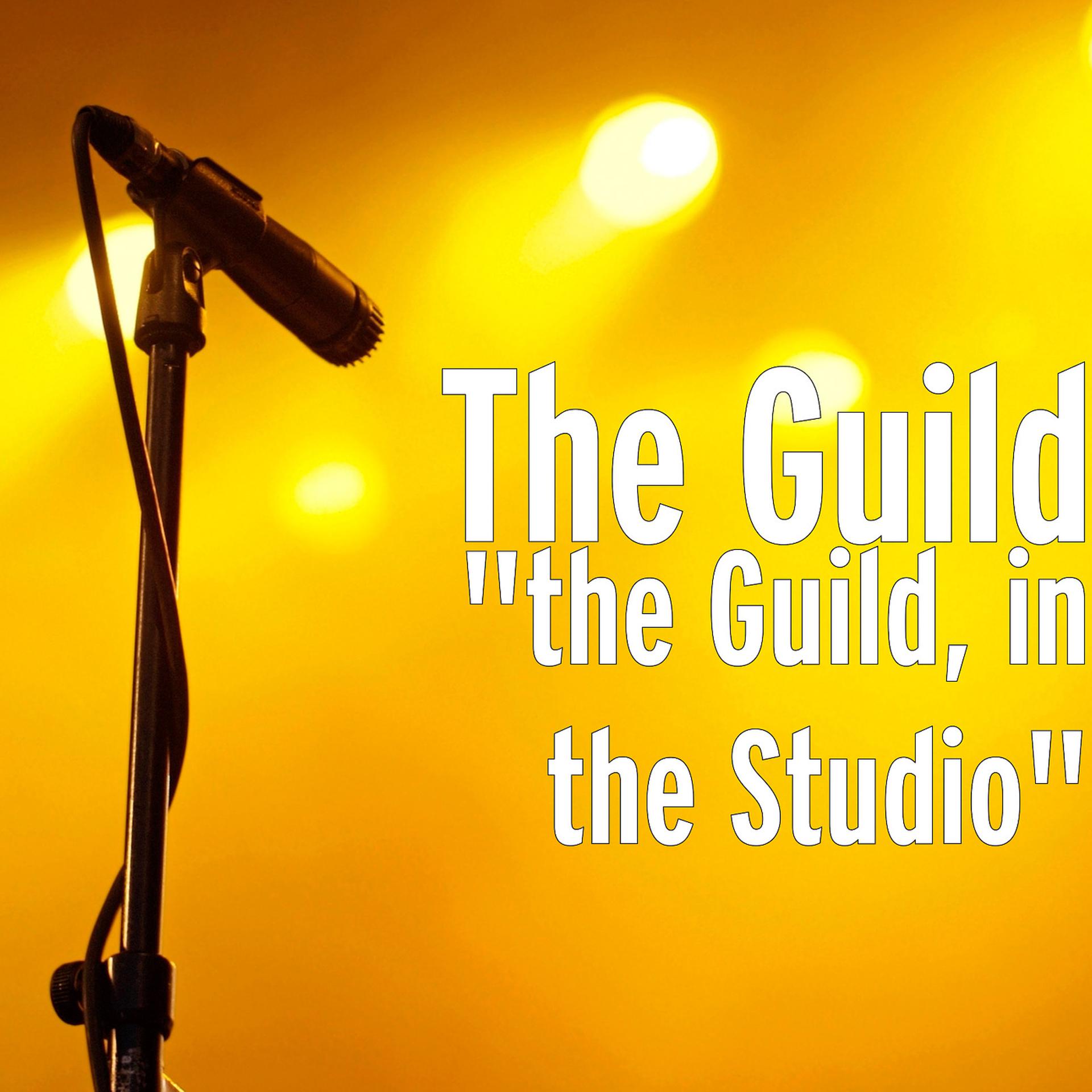 Постер альбома "the Guild, in the Studio"