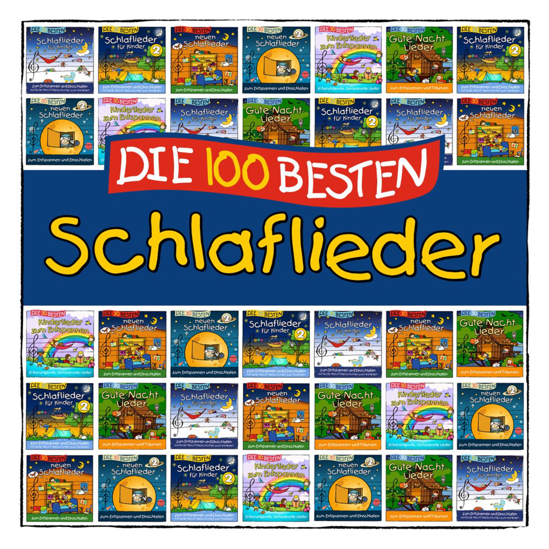 Постер альбома Die 100 besten Schlaflieder