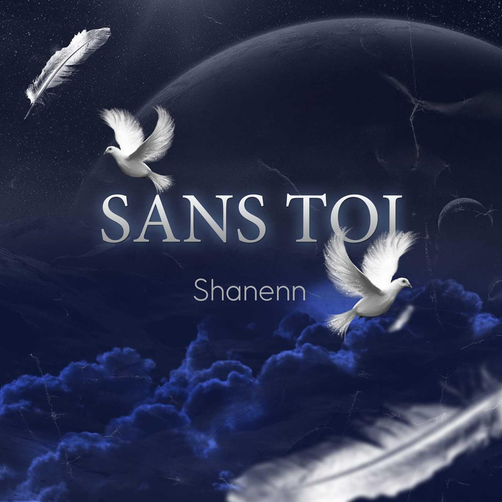Постер альбома Sans toi