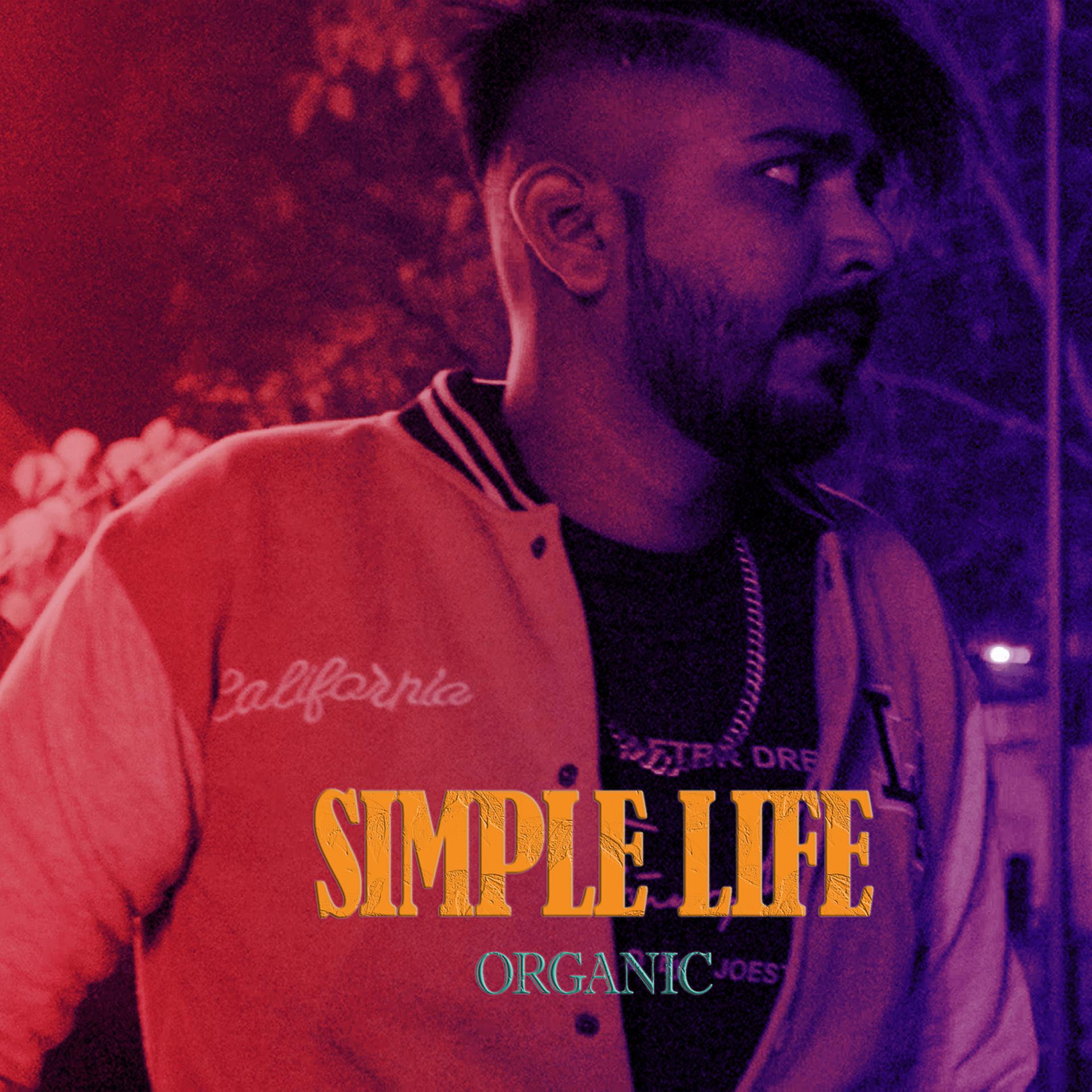 Постер альбома Simple Life