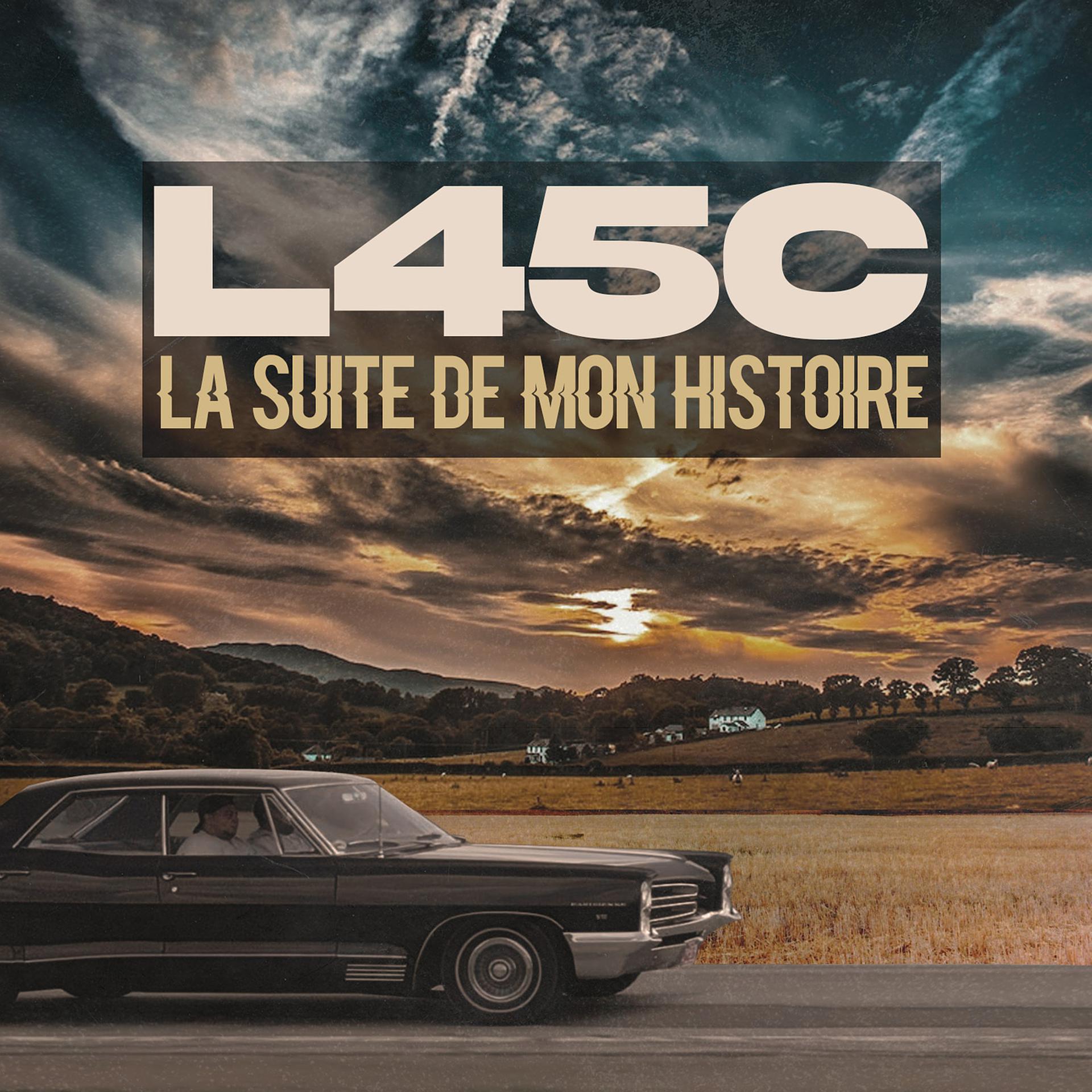 Постер альбома La suite de mon histoire