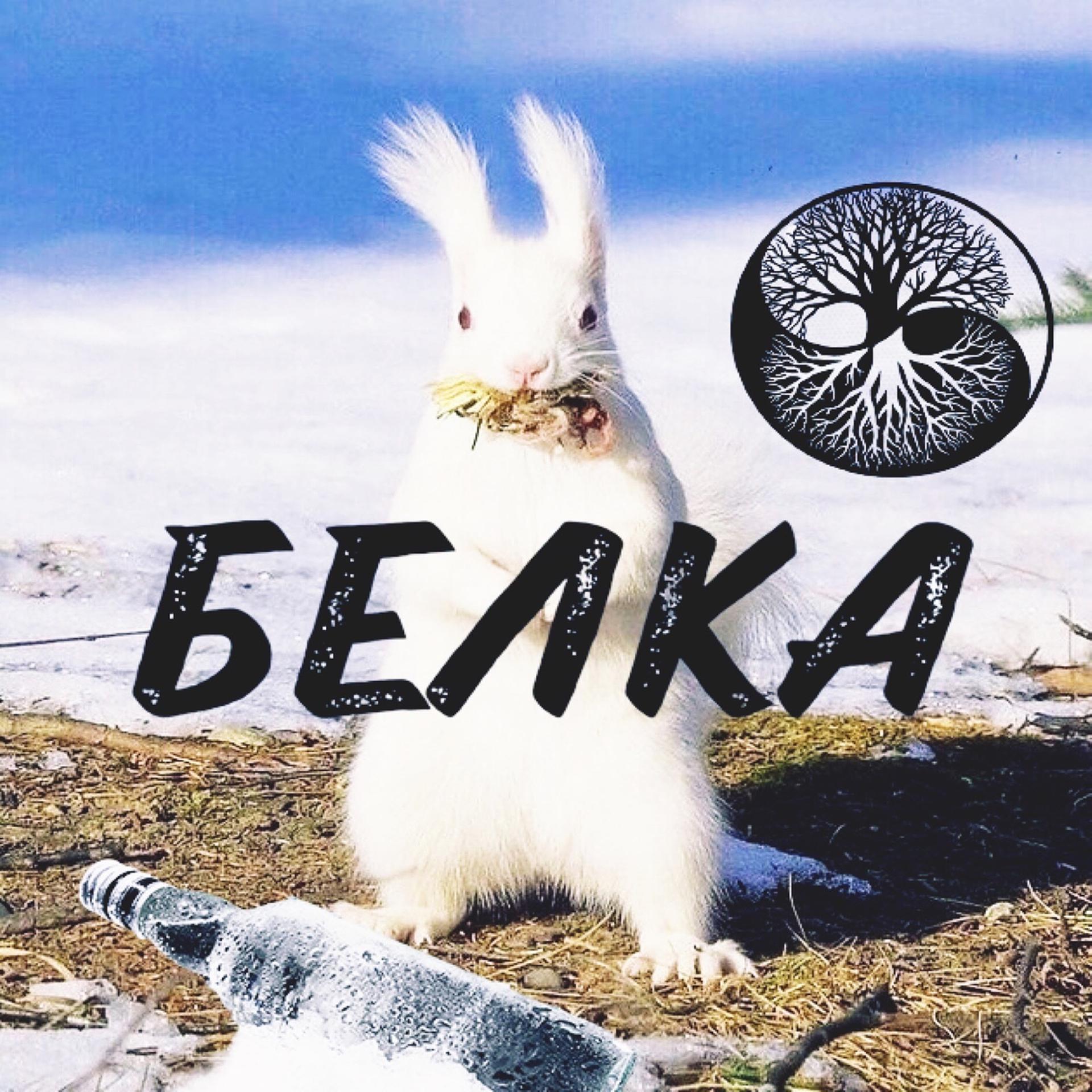 Постер альбома Белка
