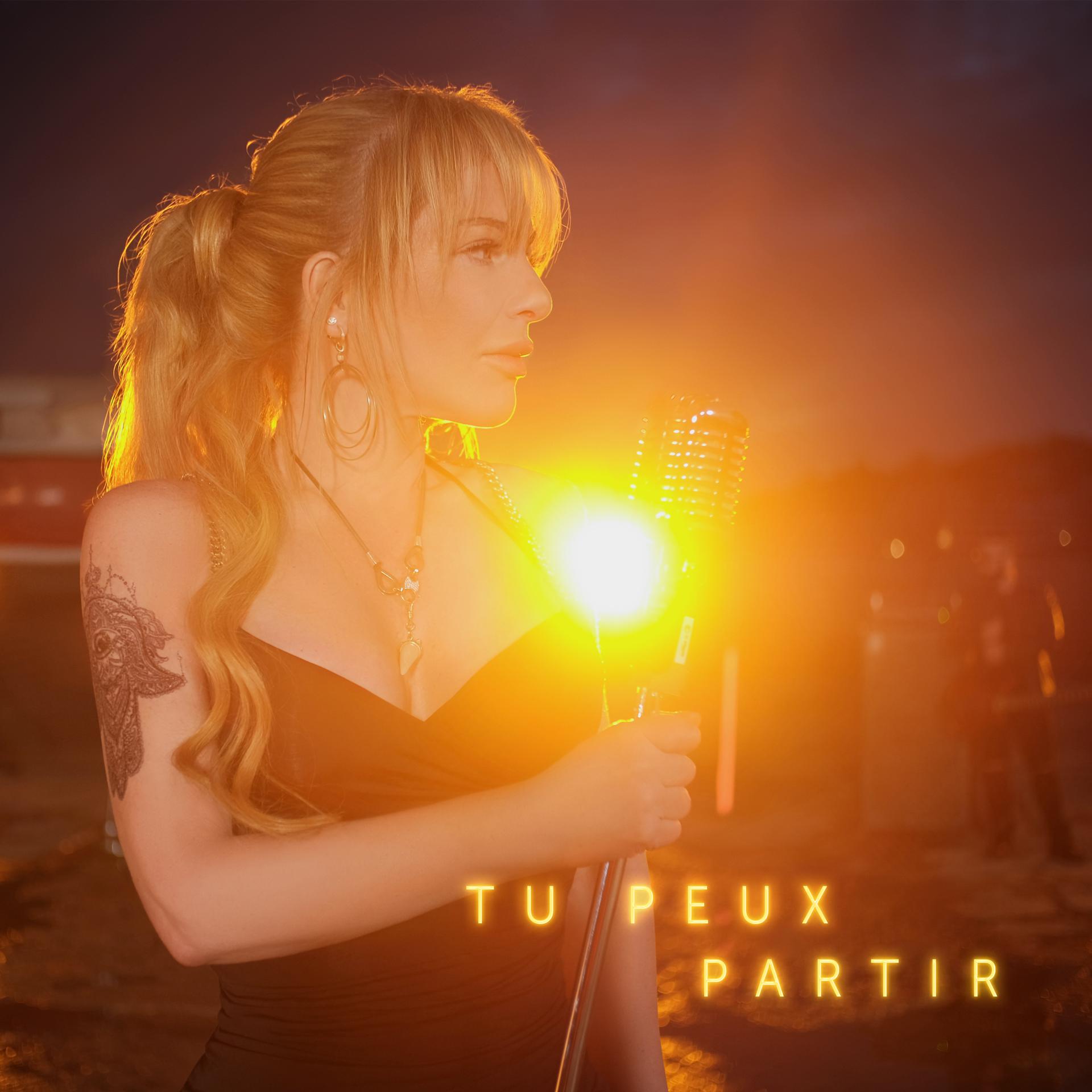 Постер альбома Tu Peux Partir
