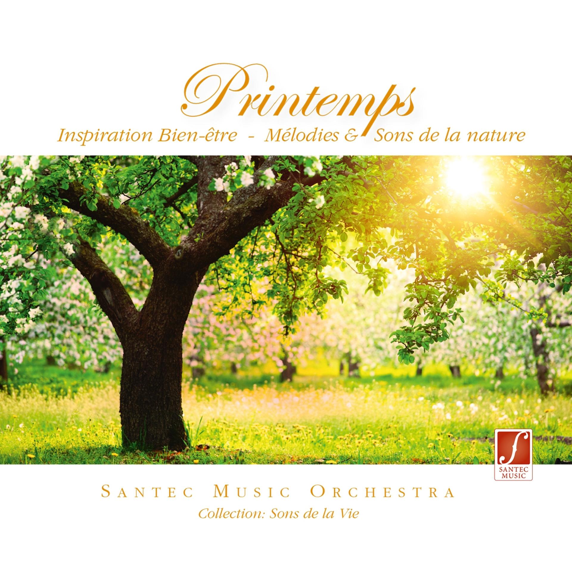 Постер альбома CD Printemps: Nature Sounds and Music for the Feeling of Spring All Year Round