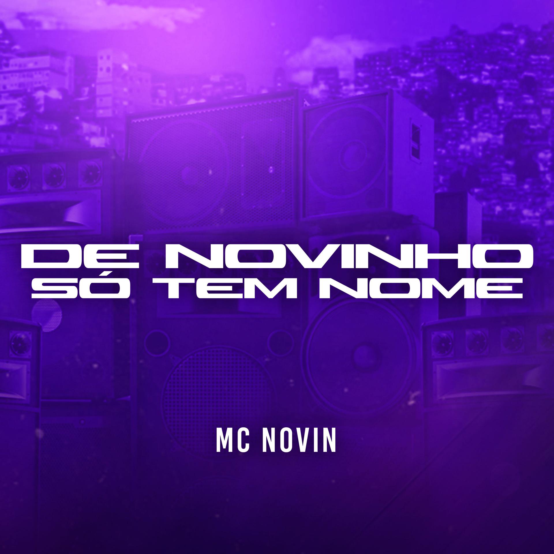 Постер альбома De Novinho Só Tem Nome