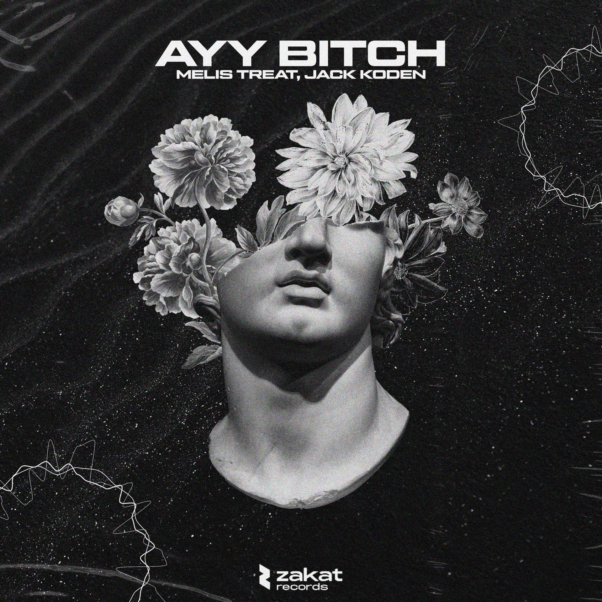Постер альбома Ayy Bitch