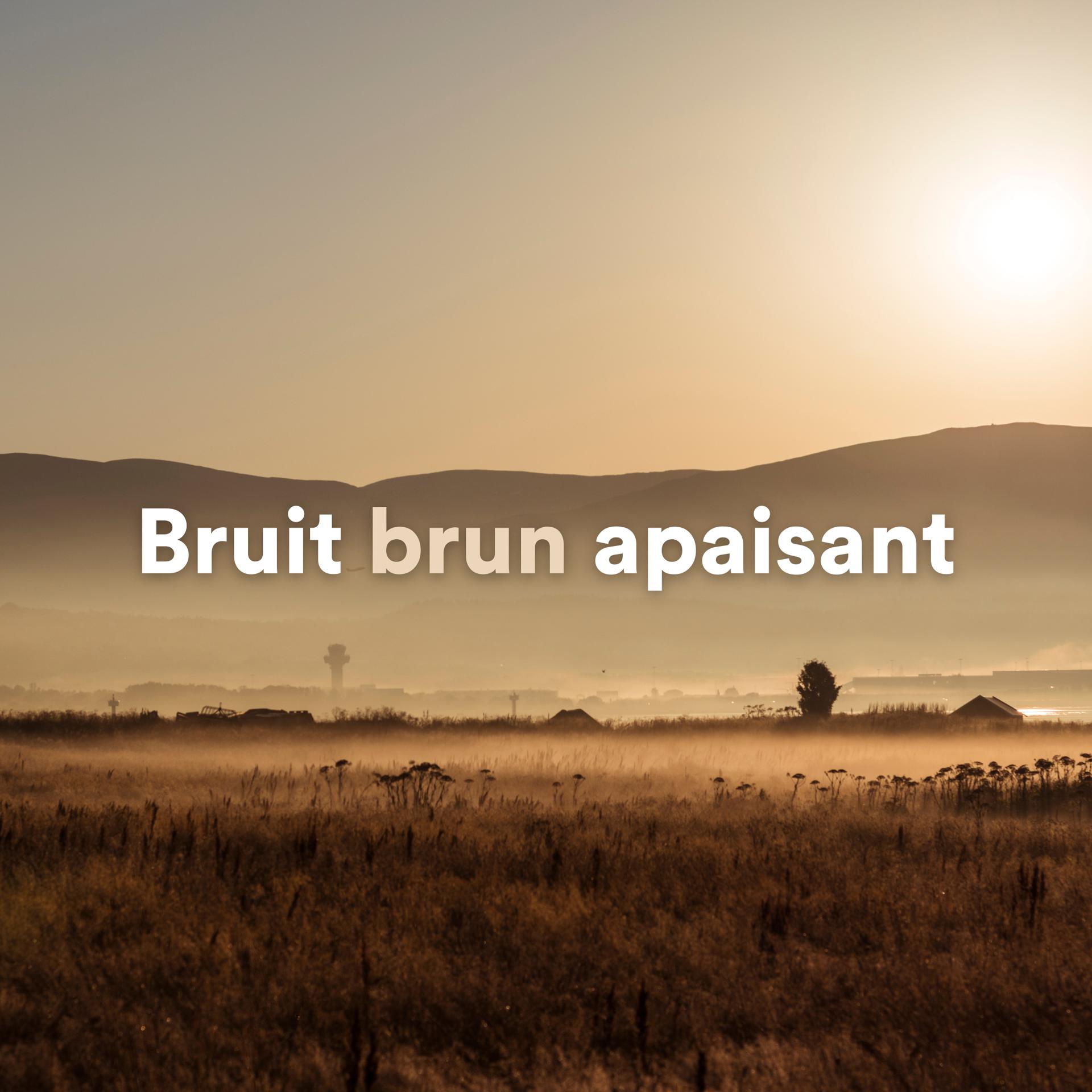 Постер альбома Bruit brun apaisant