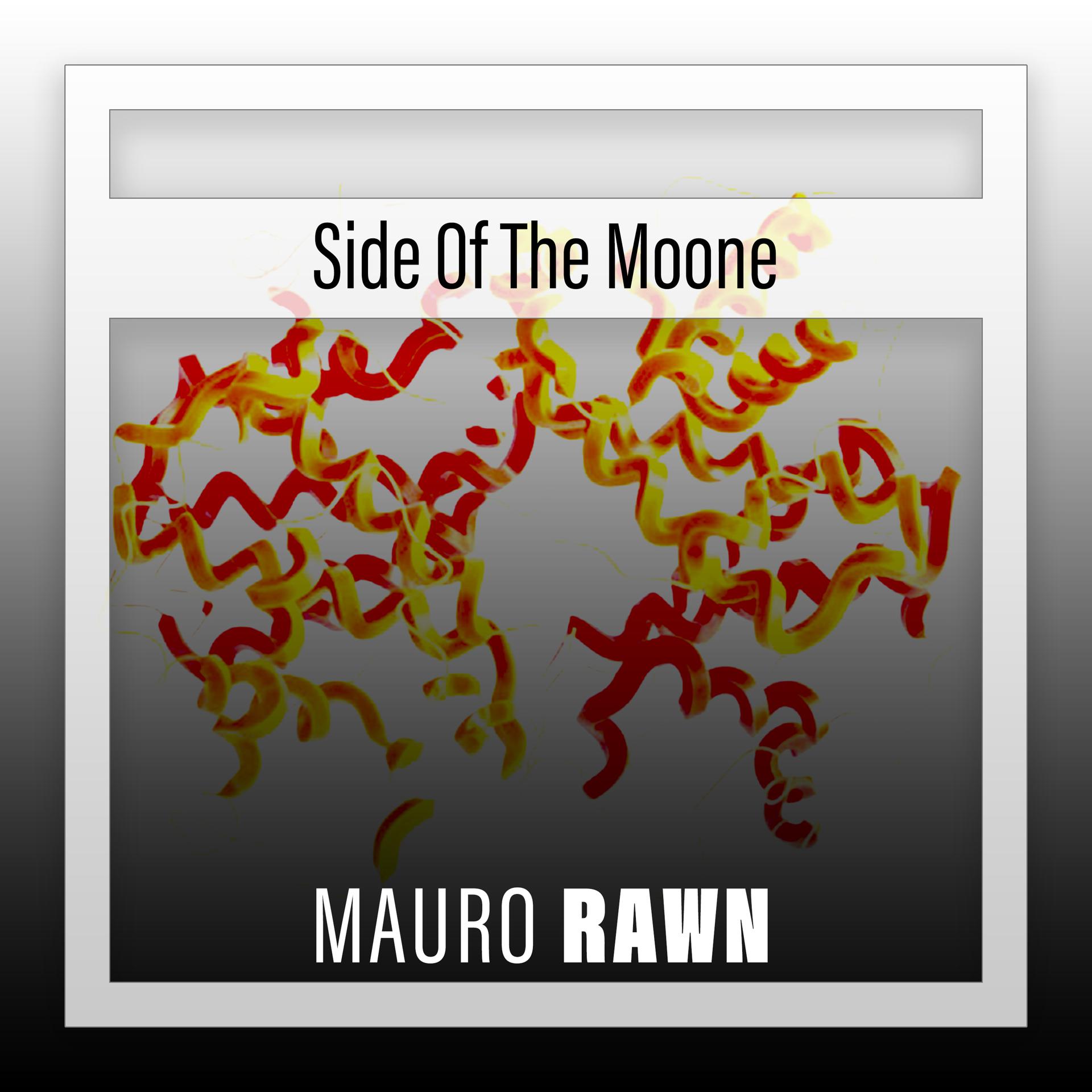 Постер альбома Side Of The Moone
