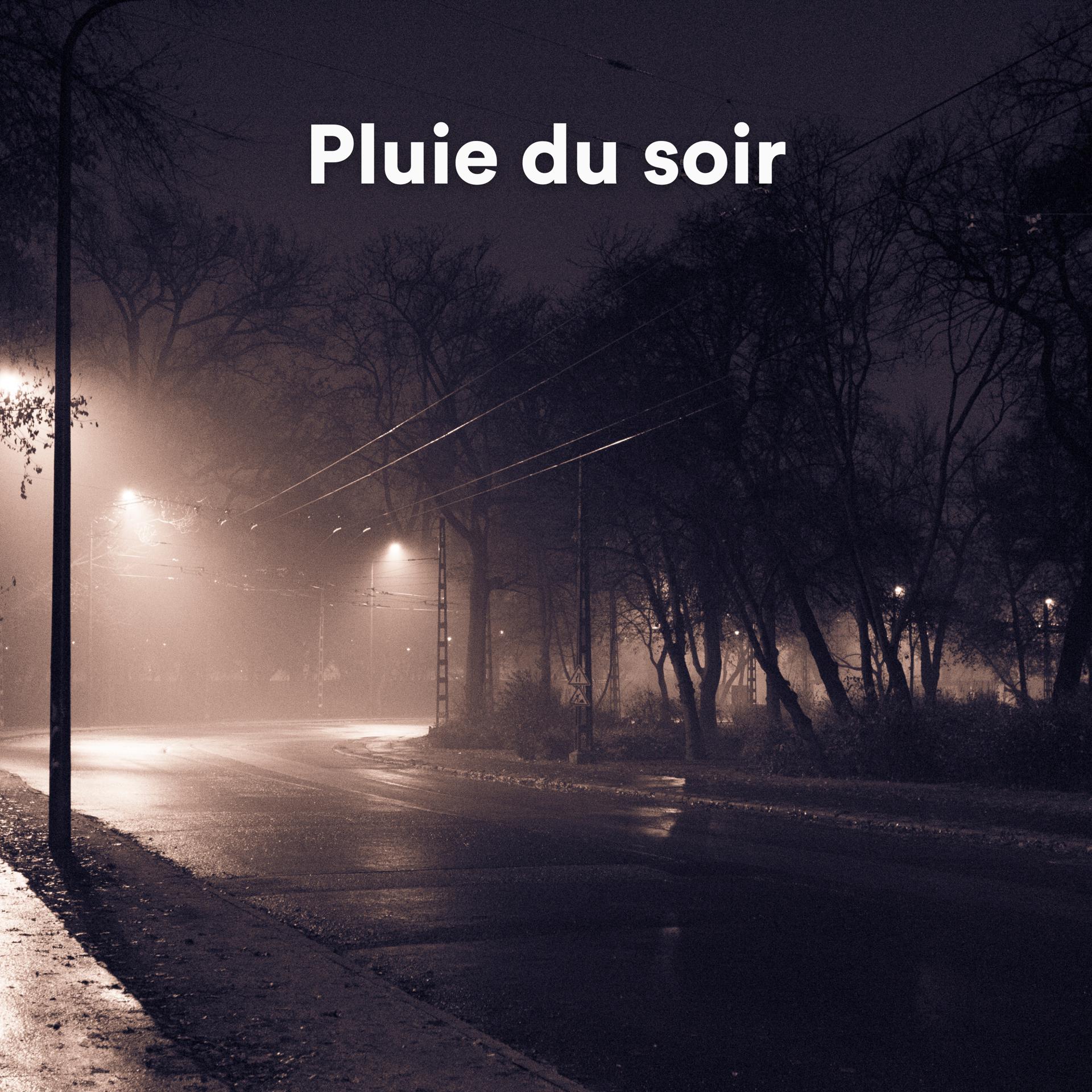 Постер альбома Pluie du Soir