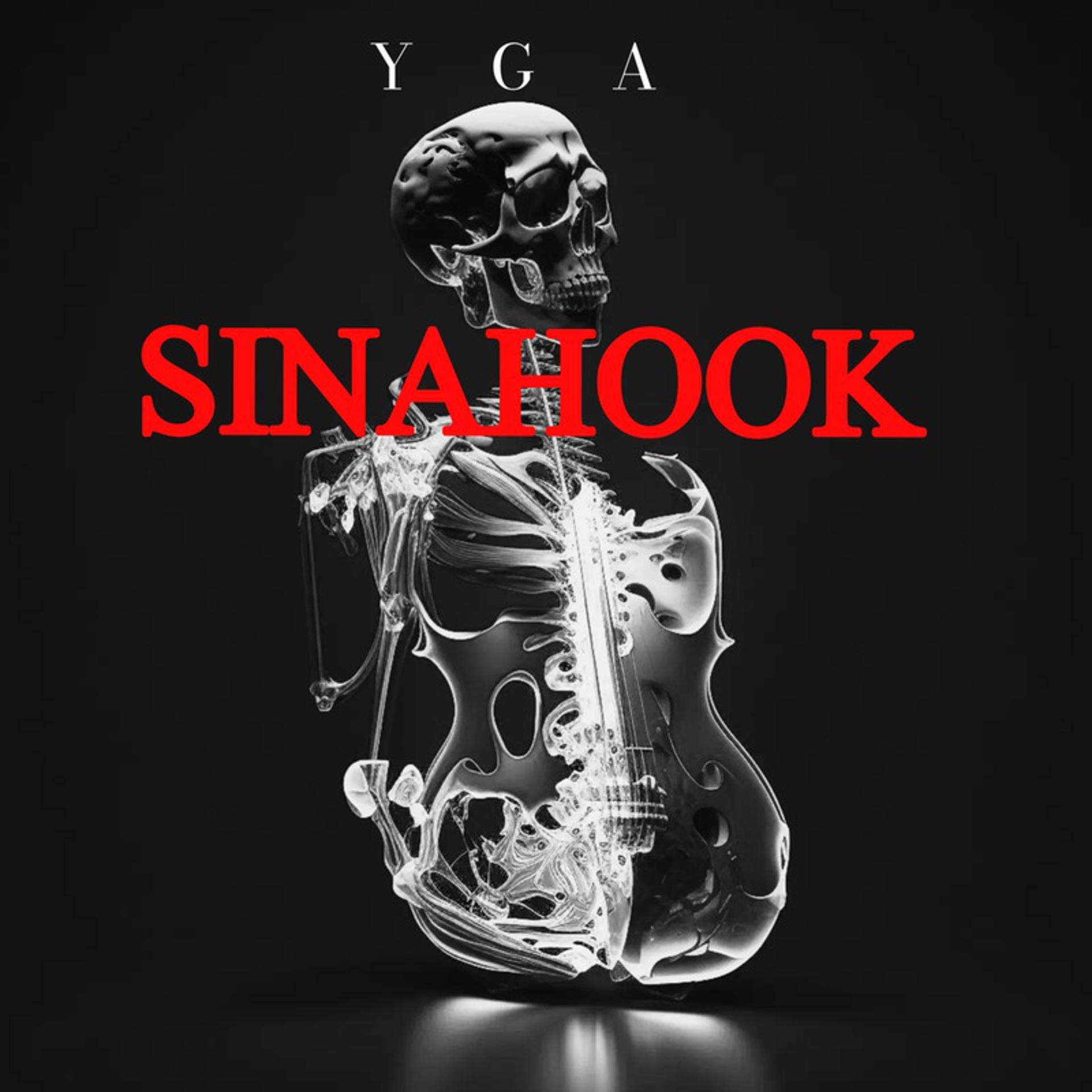 Постер альбома Sina Hook